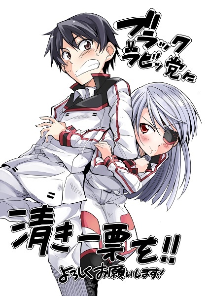 Infinite Stratos Black Bunny/White Bitter manga cover