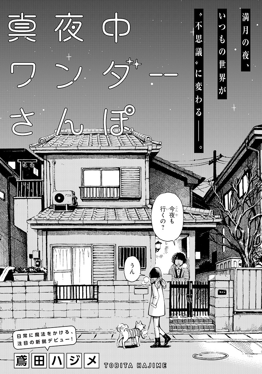 Midnight Walk of Wonders manga cover