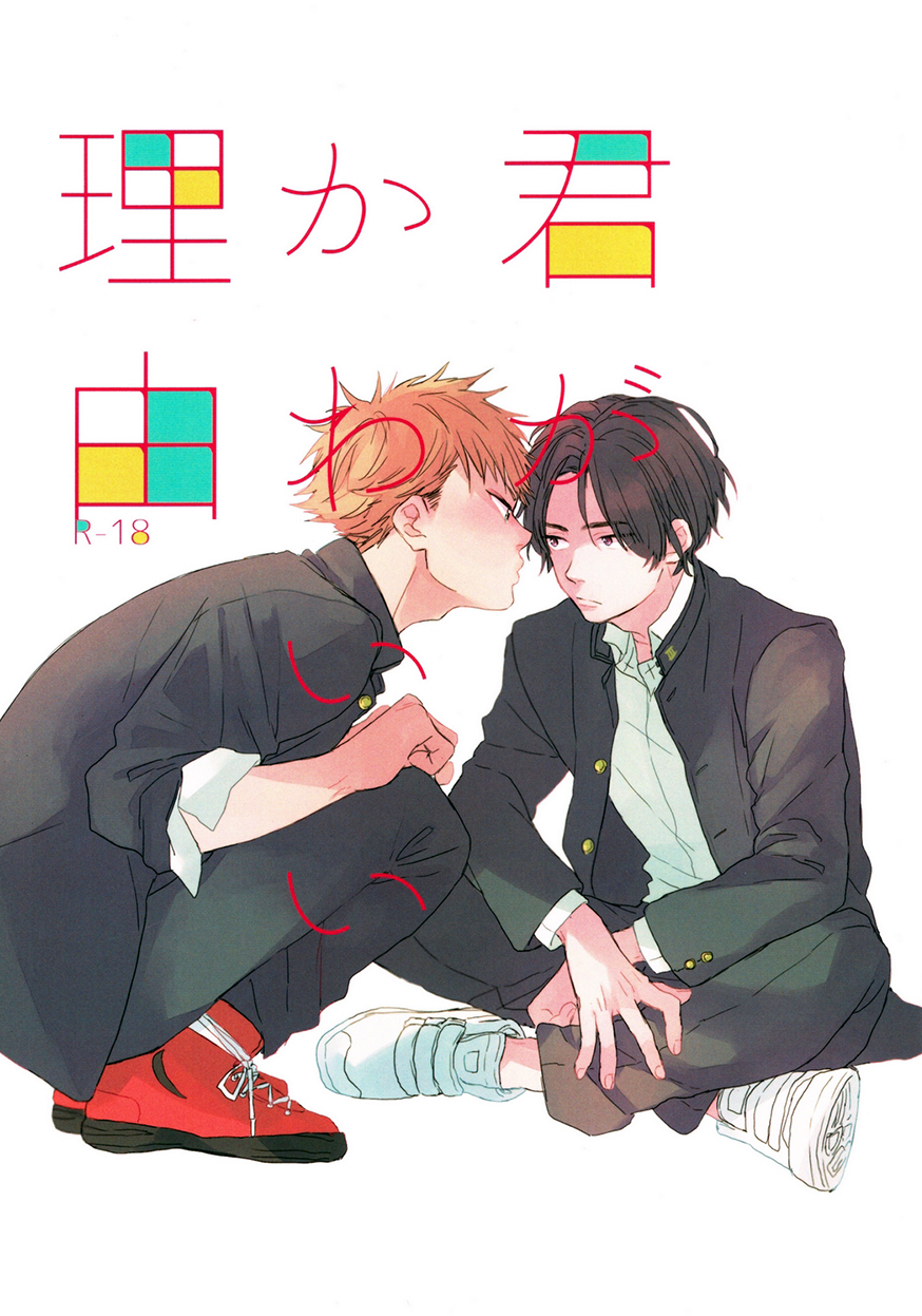 Kimi ga Kawaii Riyuu manga cover