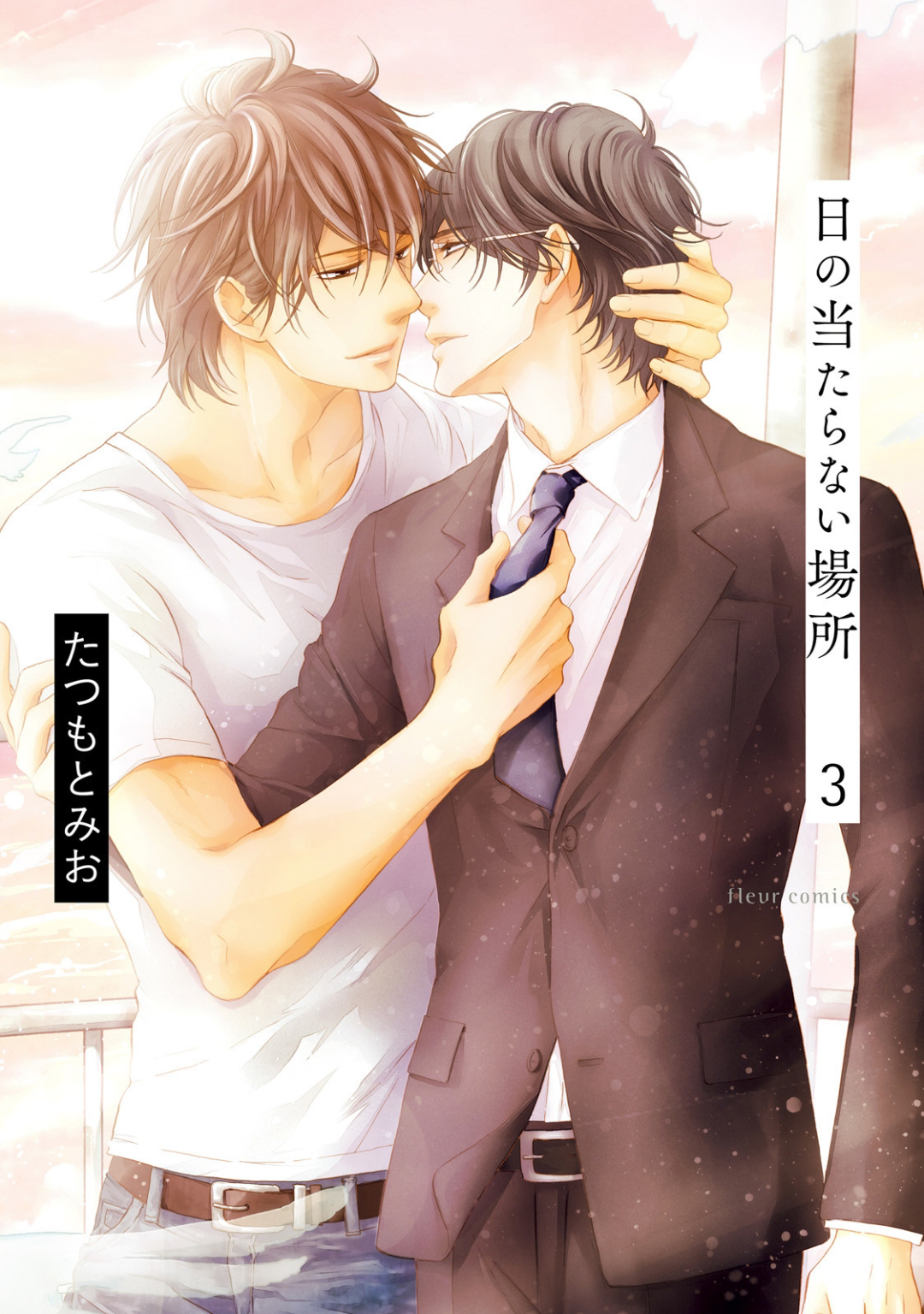 Hi no Ataranai Basho manga cover
