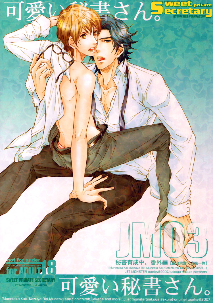 Hisho Ikuseichuu - Kawaii Hisho-san (Doujinshi) manga cover