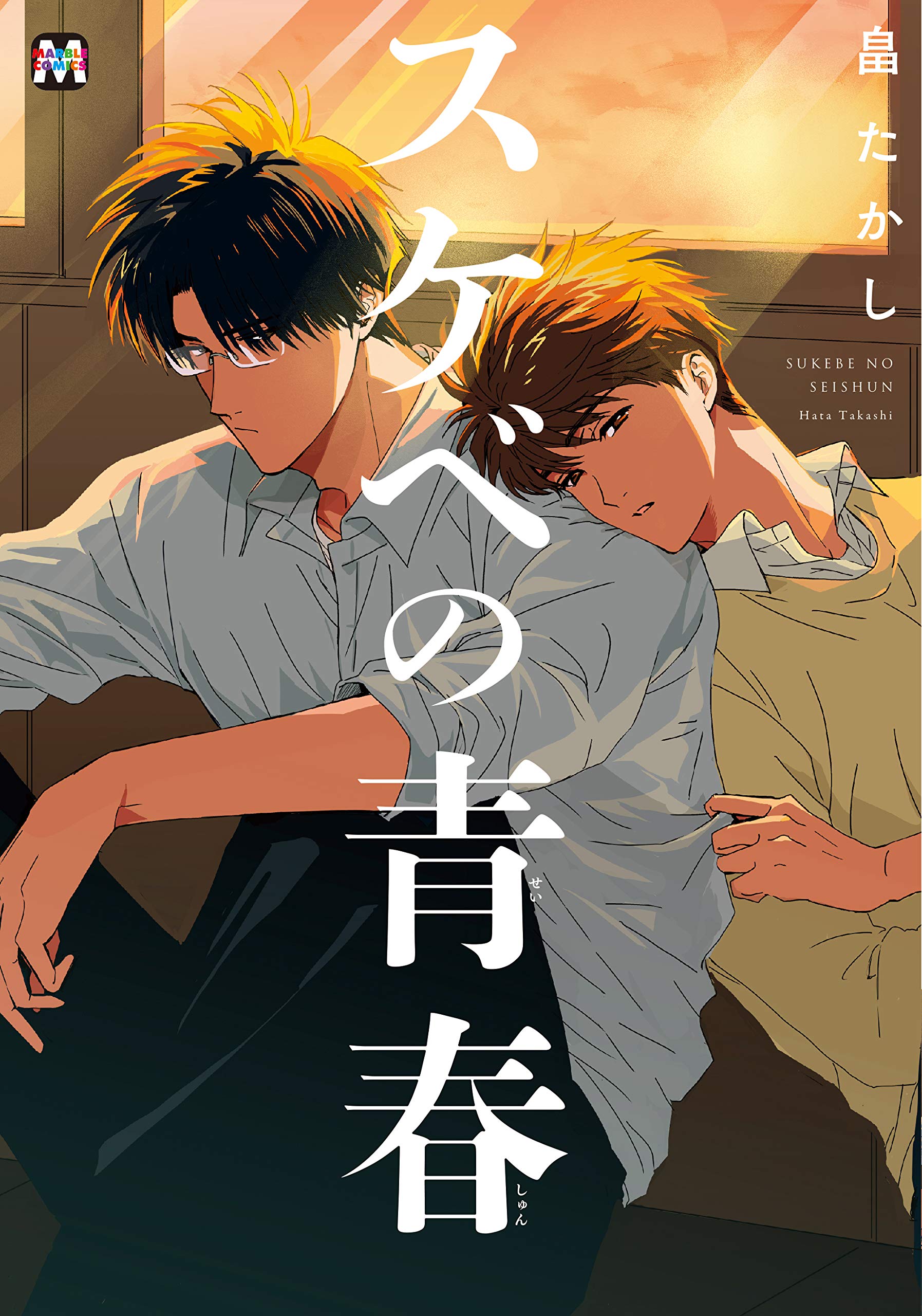 Sukebe no Seishun manga cover