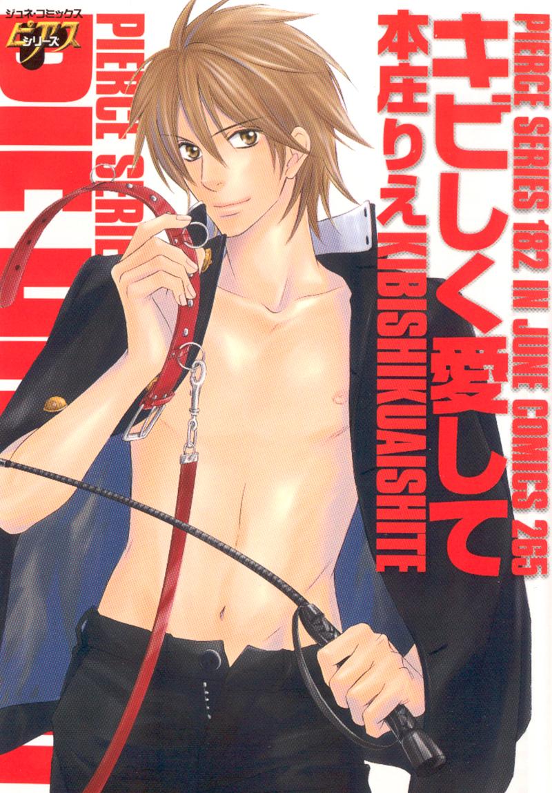 Kibishiku Aishite manga cover