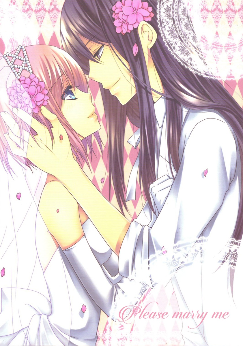 Tales of Vesperia - Please Marry Me (Doujinshi) manga cover