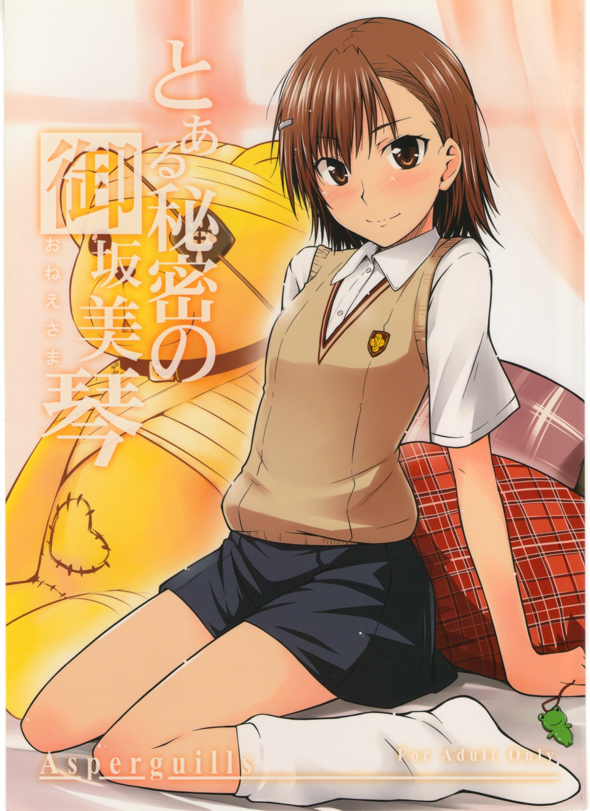 Toaru Kagaku no Railgun - Toaru Himitsu no Onee-sama (Doujinshi) manga cover