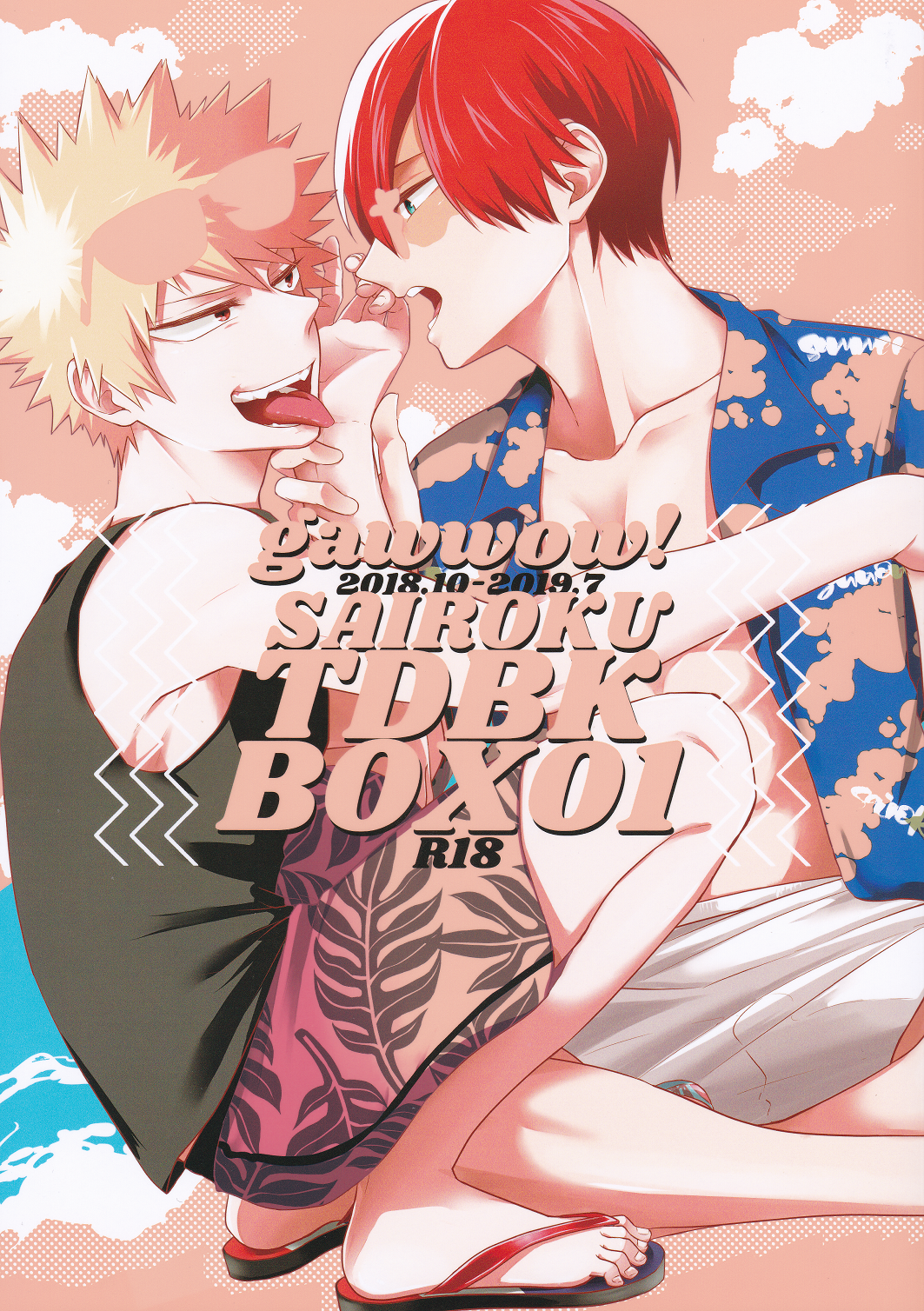 My Hero Academia - TDBK BOX (Doujinshi) manga cover