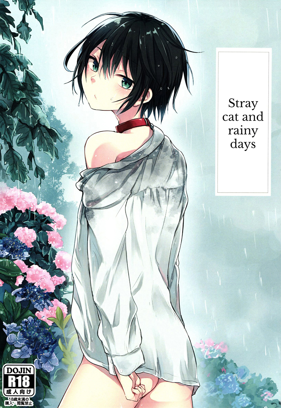 Nora Neko to Rainy Days manga cover