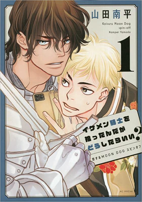 Ikemen Kishi wo Hirottanda ga Doushitara Ii? manga cover