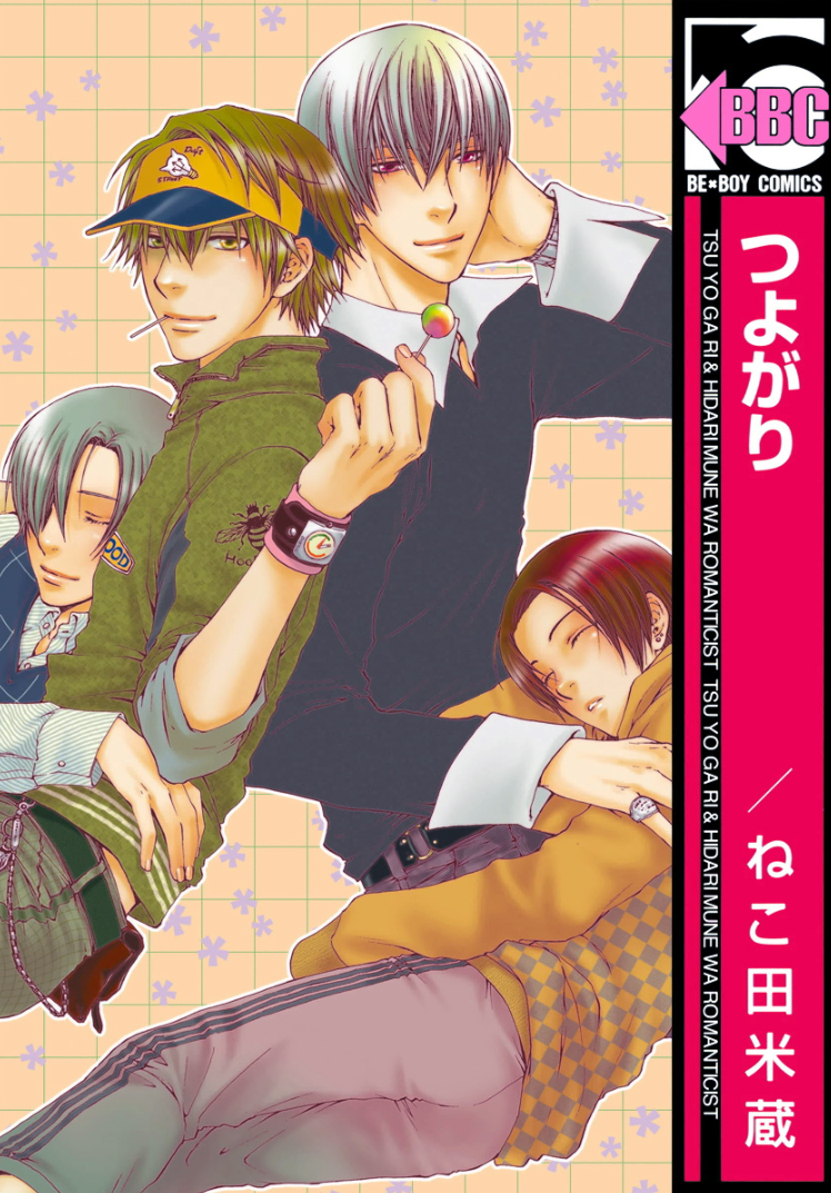 Secrets Of A Youth manga cover