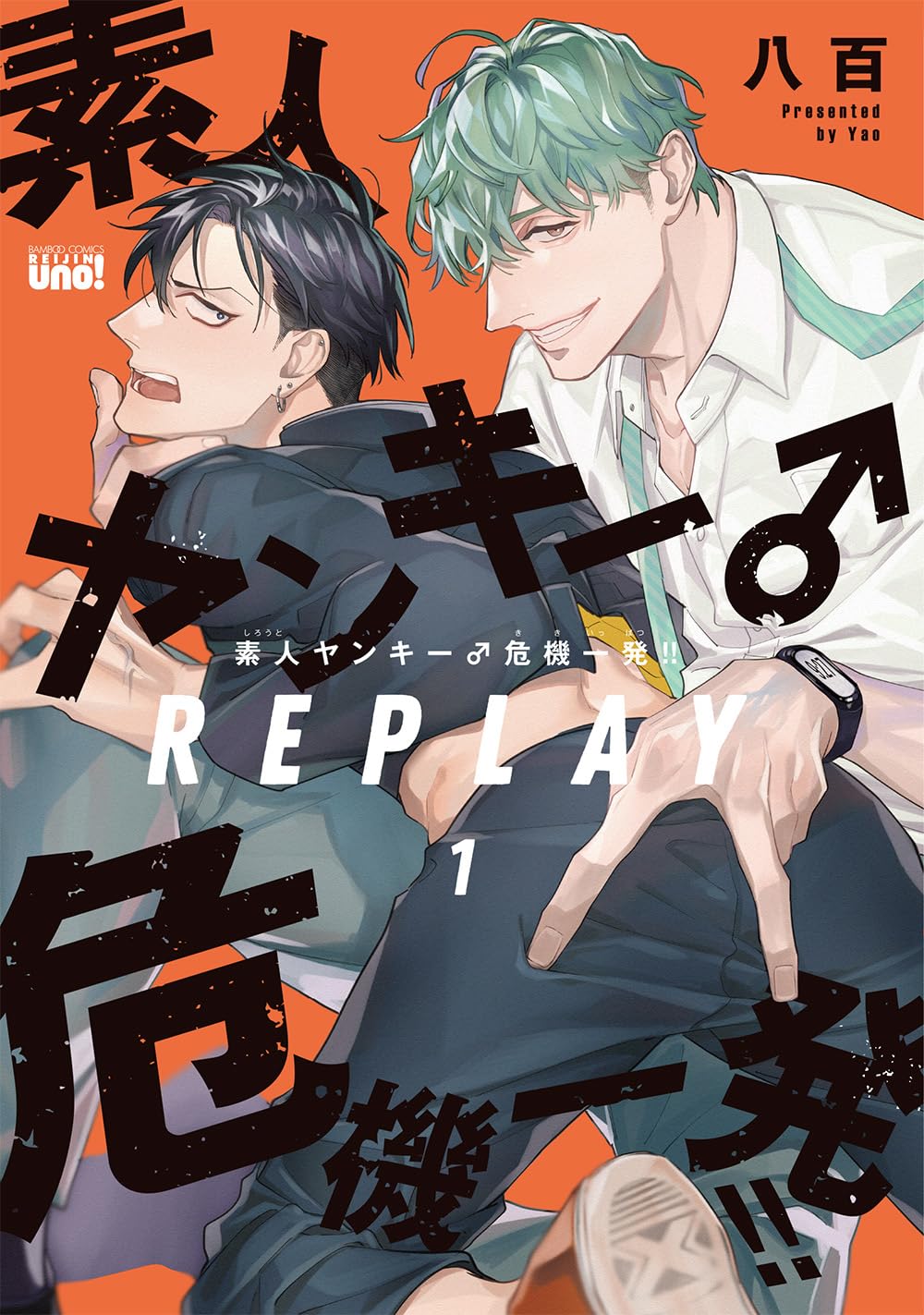 Shirouto Yankee Kikiippatsu!! manga cover