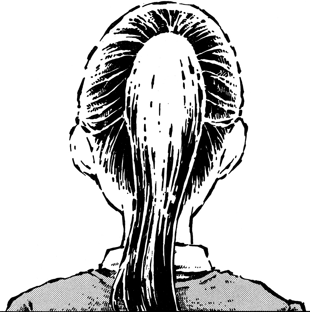 Zansatsu! Ponytail manga cover