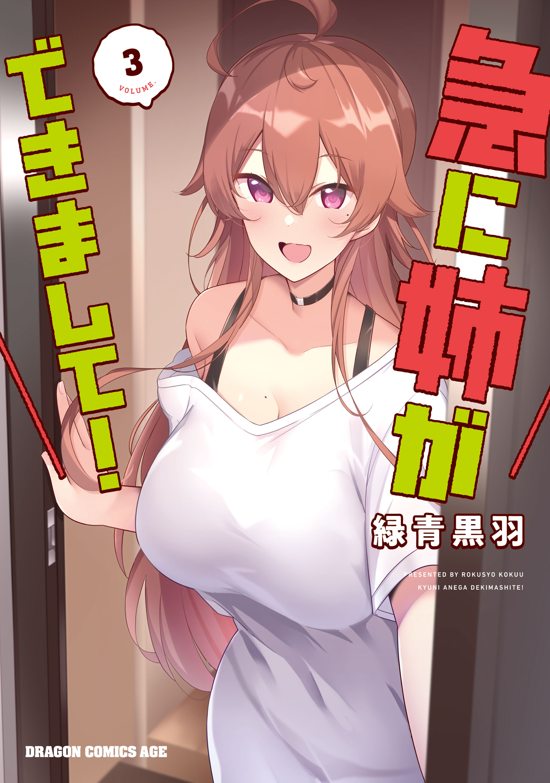 Kyuni Anega Dekimashite! manga cover
