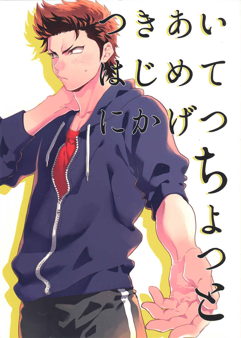 Diamond no Ace - Tsukiai Hajimete Ni ka Getsu Chotto (Doujinshi) manga cover