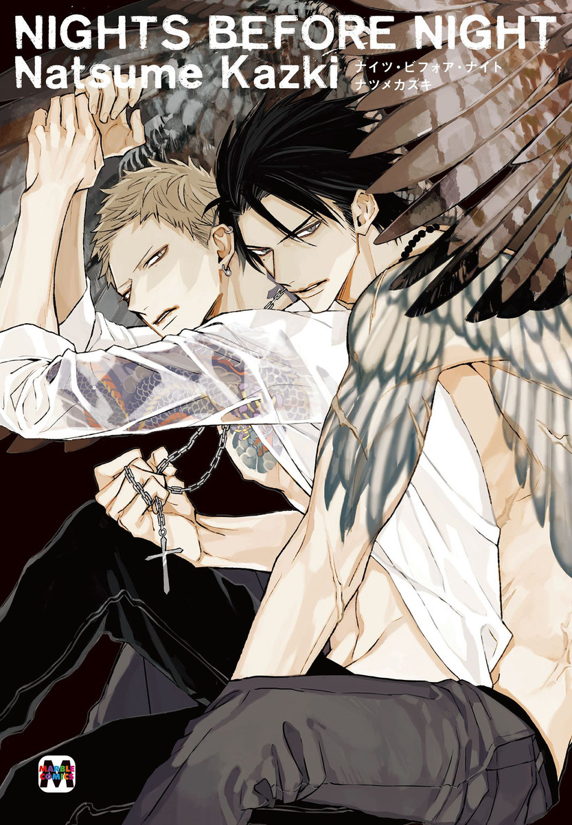 Nights Before Night manga cover