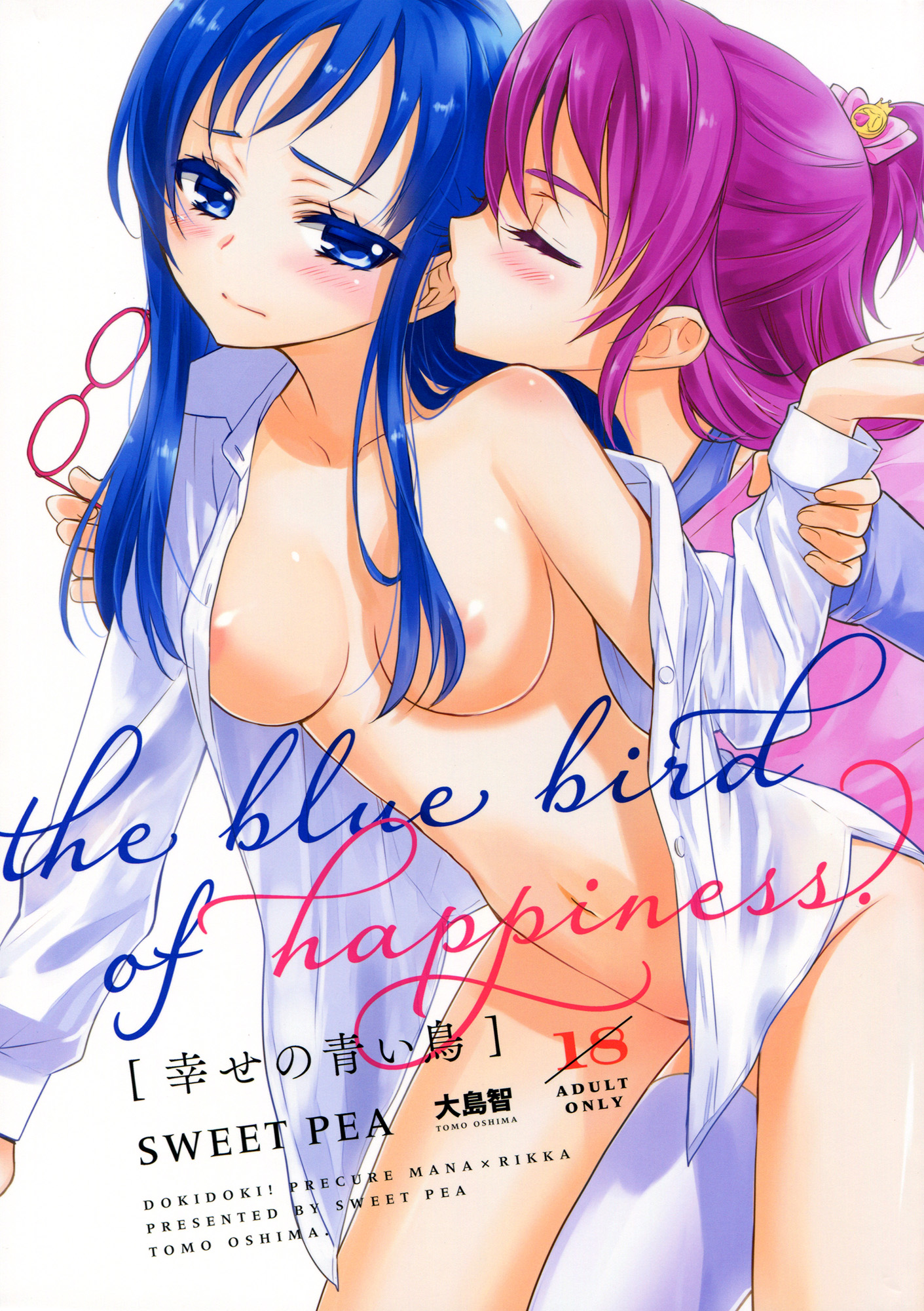 Dokidoki! Precure - Shiawase no Aoi Tori (Doujinshi) manga cover