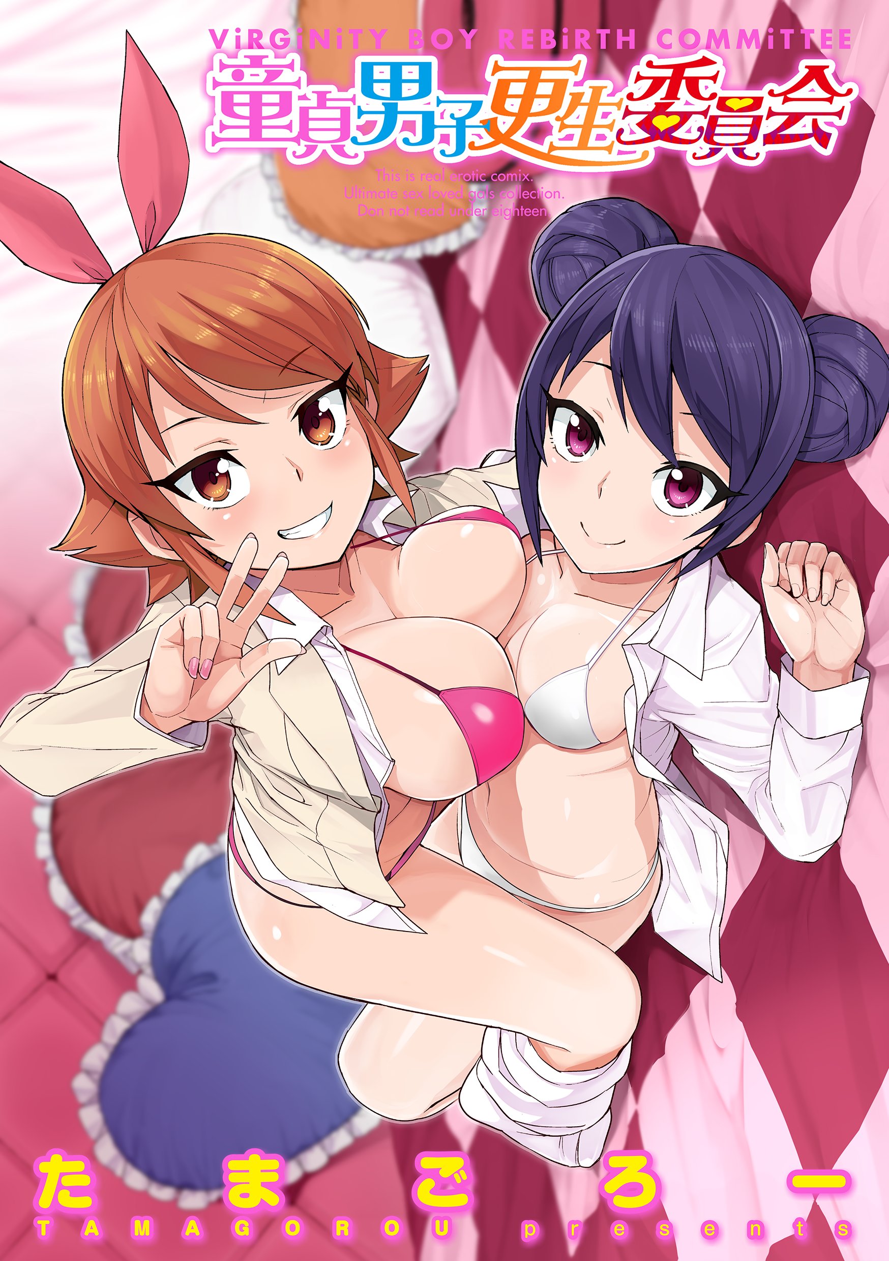 Doutei Danshi Kousei Iinkai manga cover