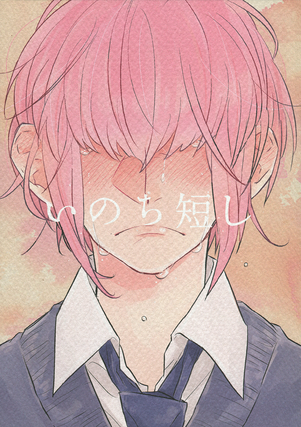 Diamond no Ace - Inochi Mijikashi (Doujinshi) manga cover
