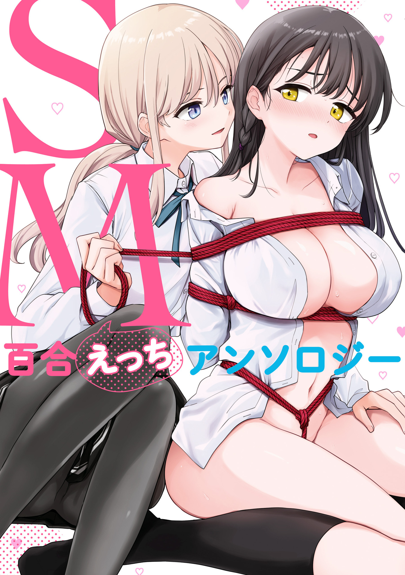 SM Yuri Ecchi Anthology manga cover