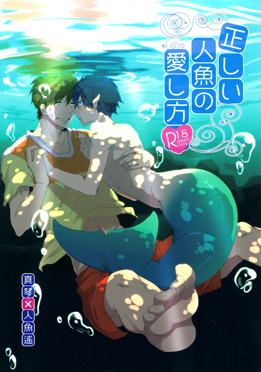 Free! - Tadashii Ningyo no Aishikata (Doujinshi) manga cover