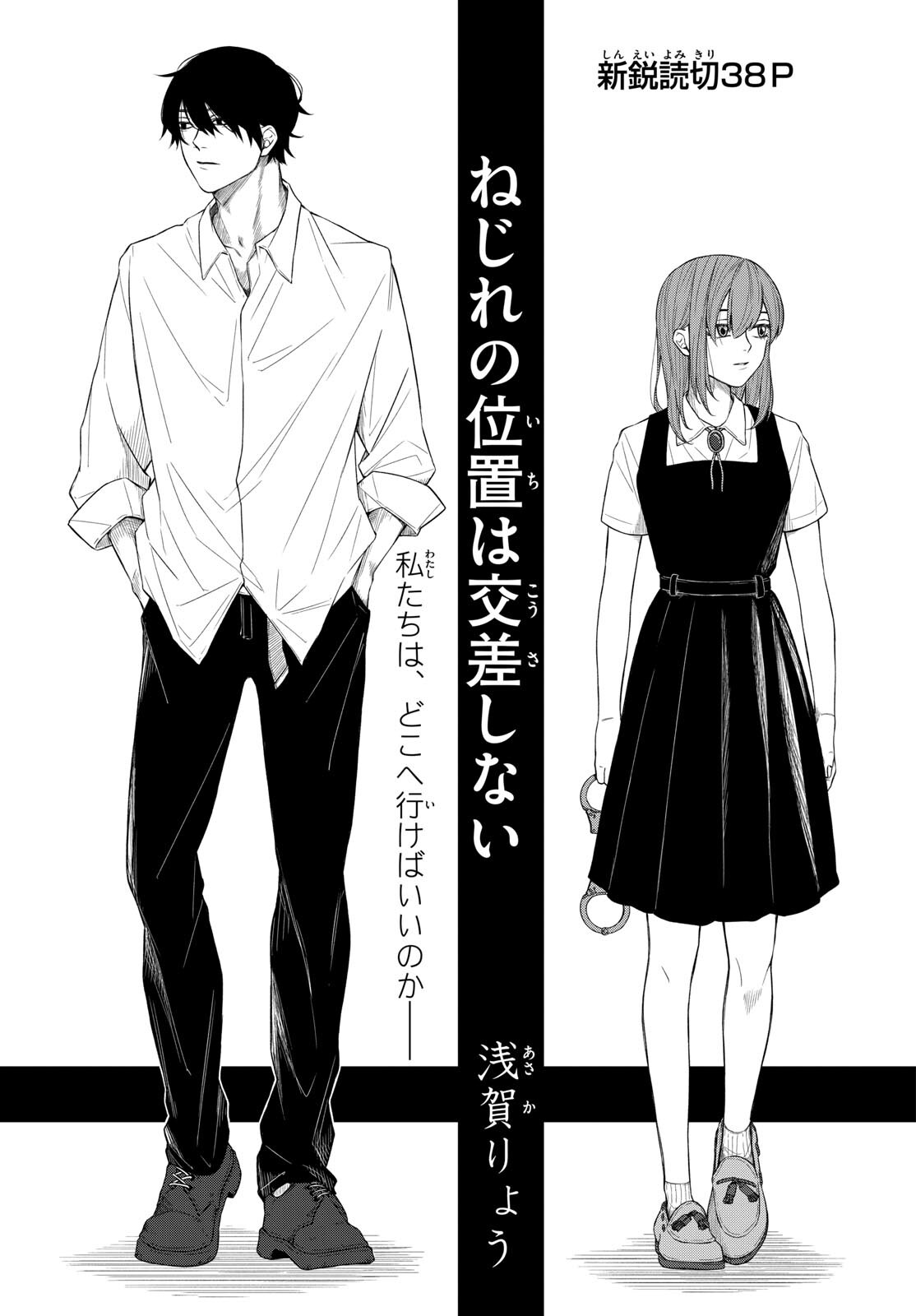 Twisted Positions Do Not Intersect manga cover