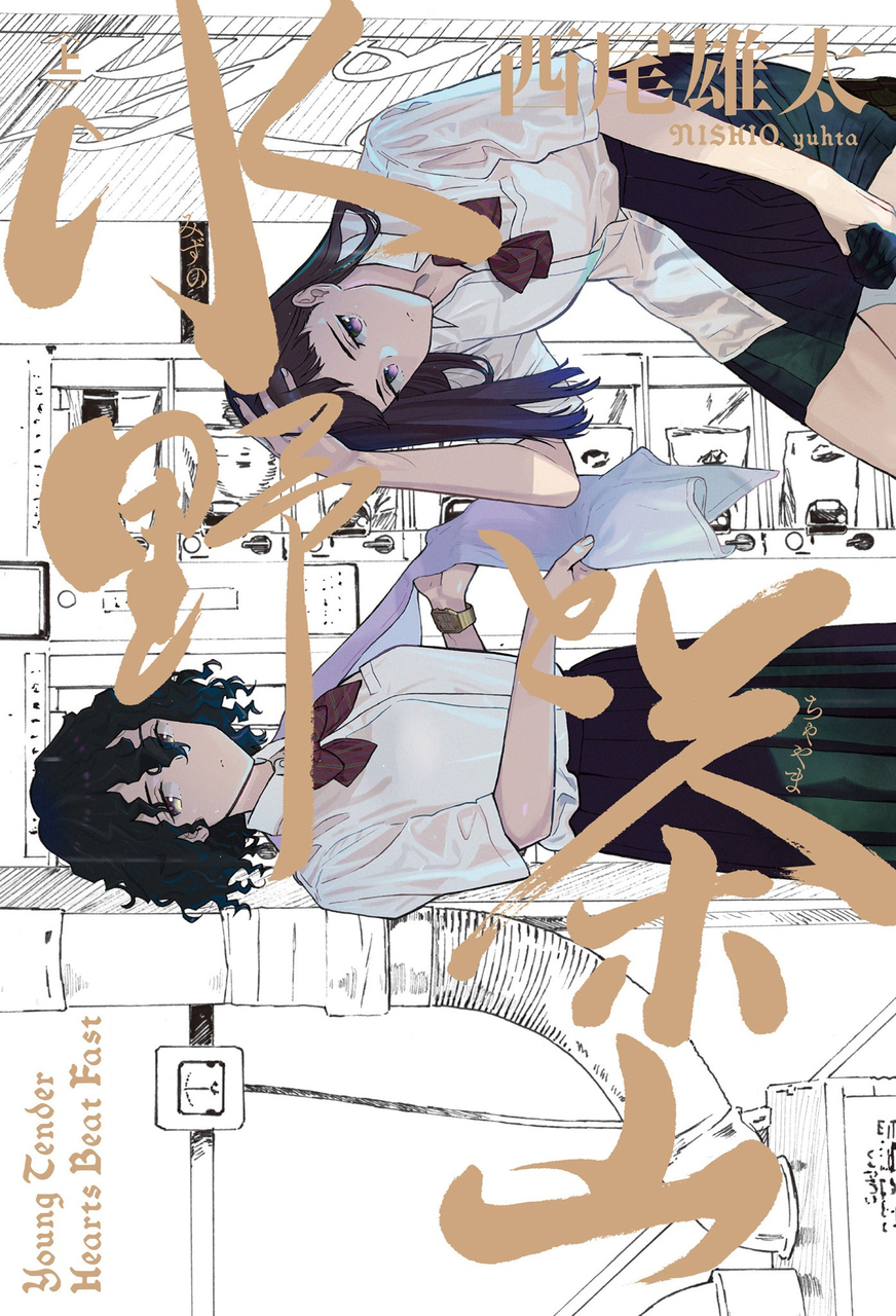 Mizuno and Chayama manga cover