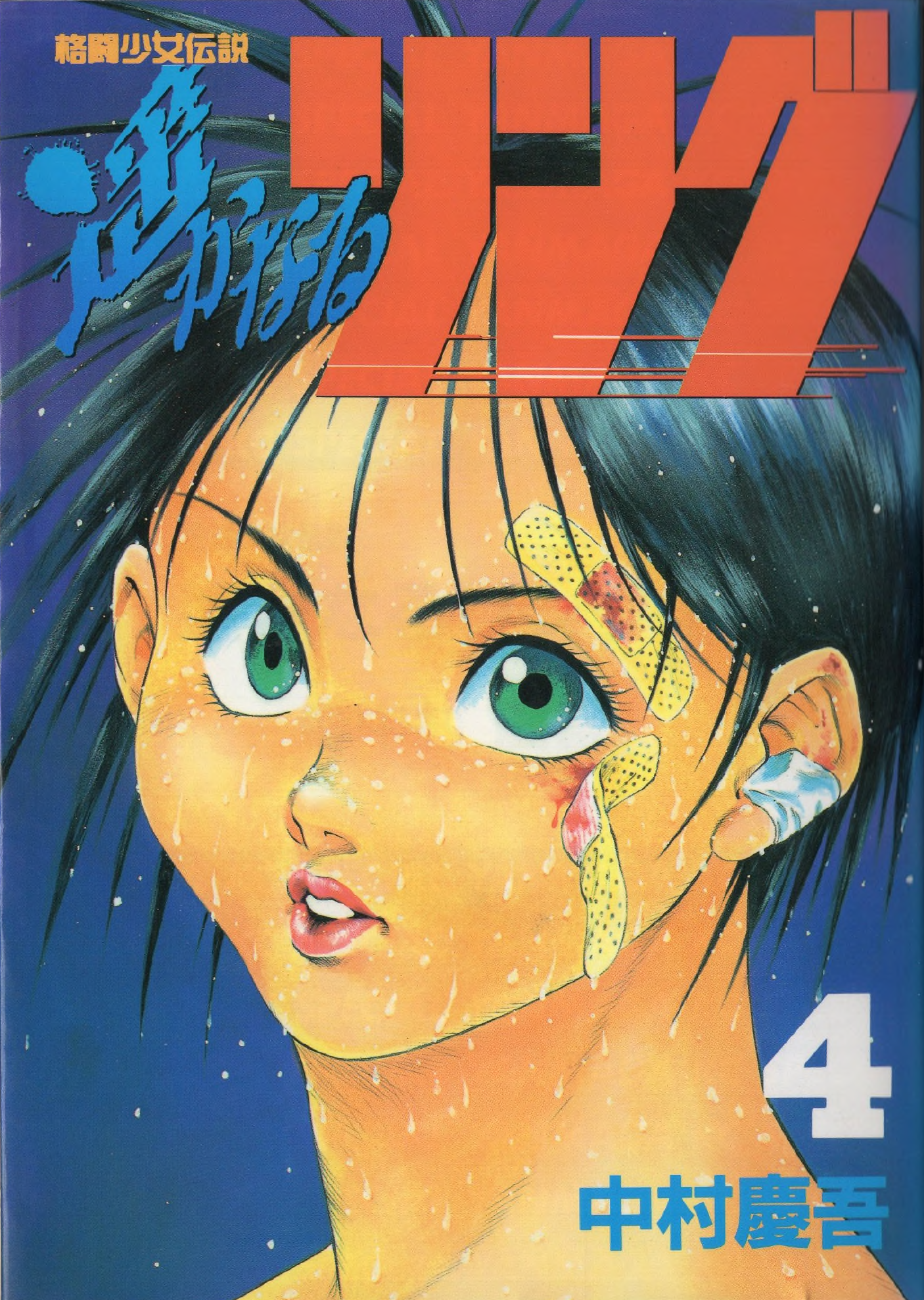 Harukanaru Ring manga cover