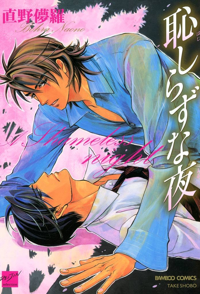 Hajishirazu na Yoru manga cover