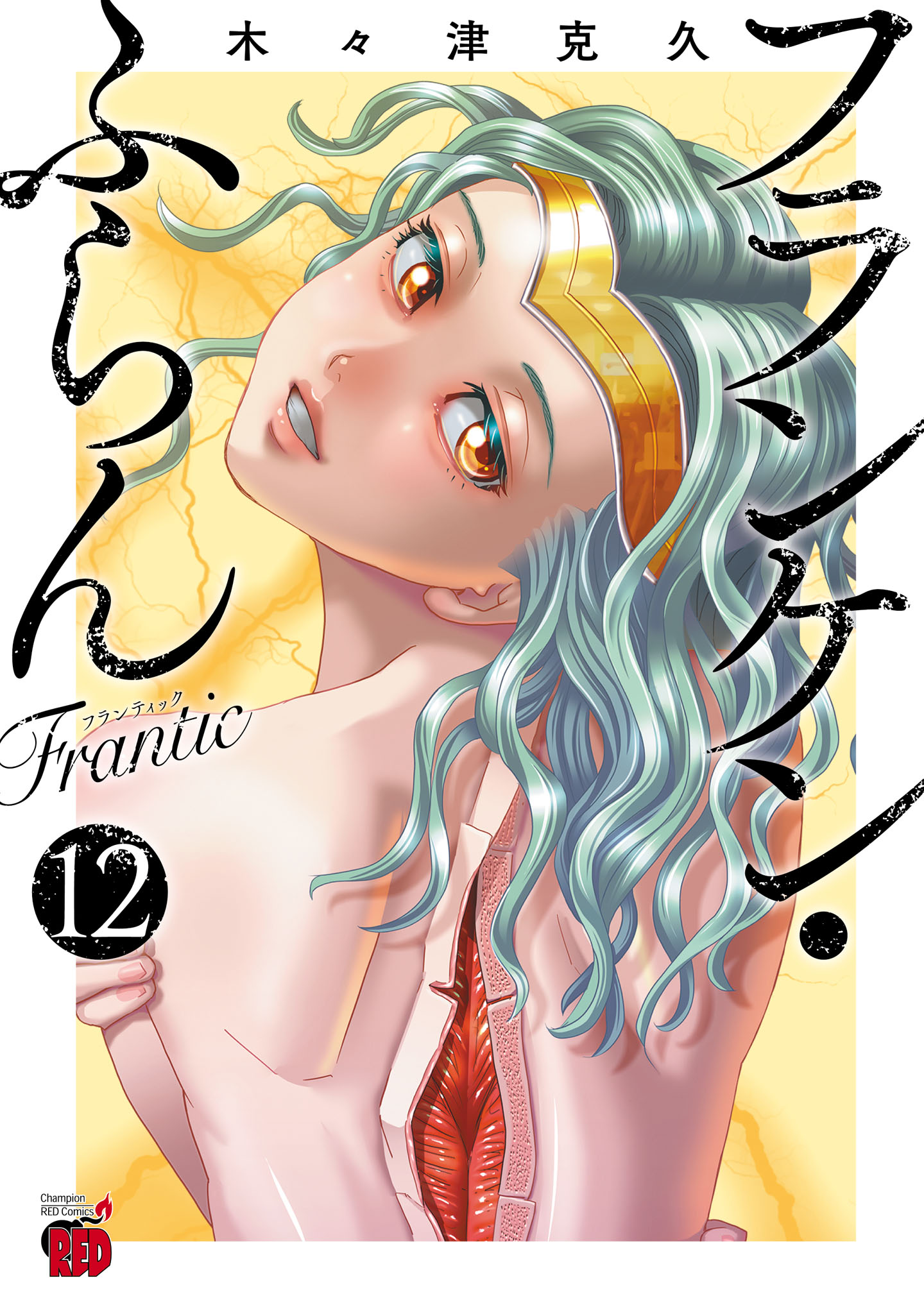 Franken Fran Frantic manga cover