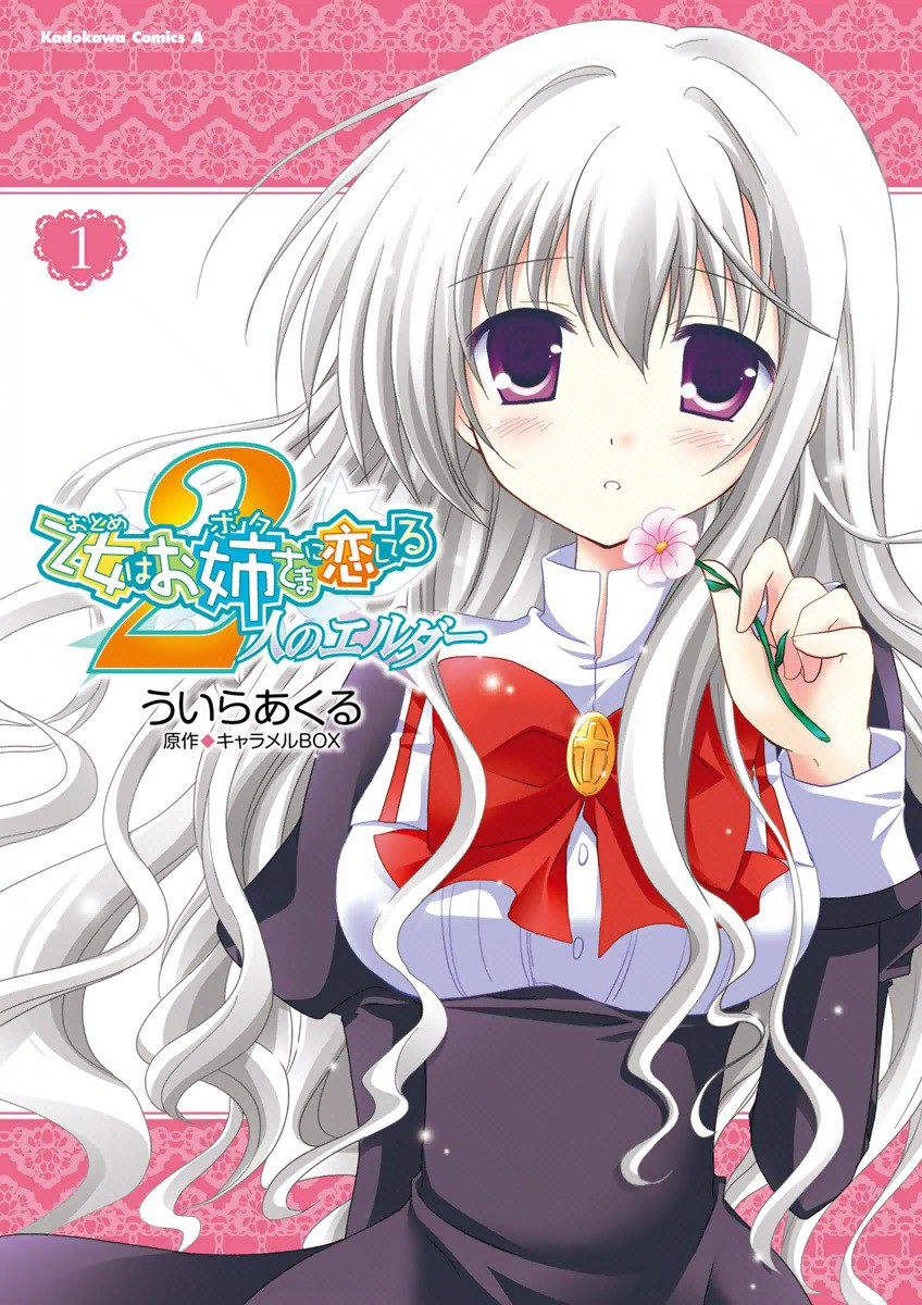 Otome wa Boku ni Koishiteru - Futari no Elder manga cover
