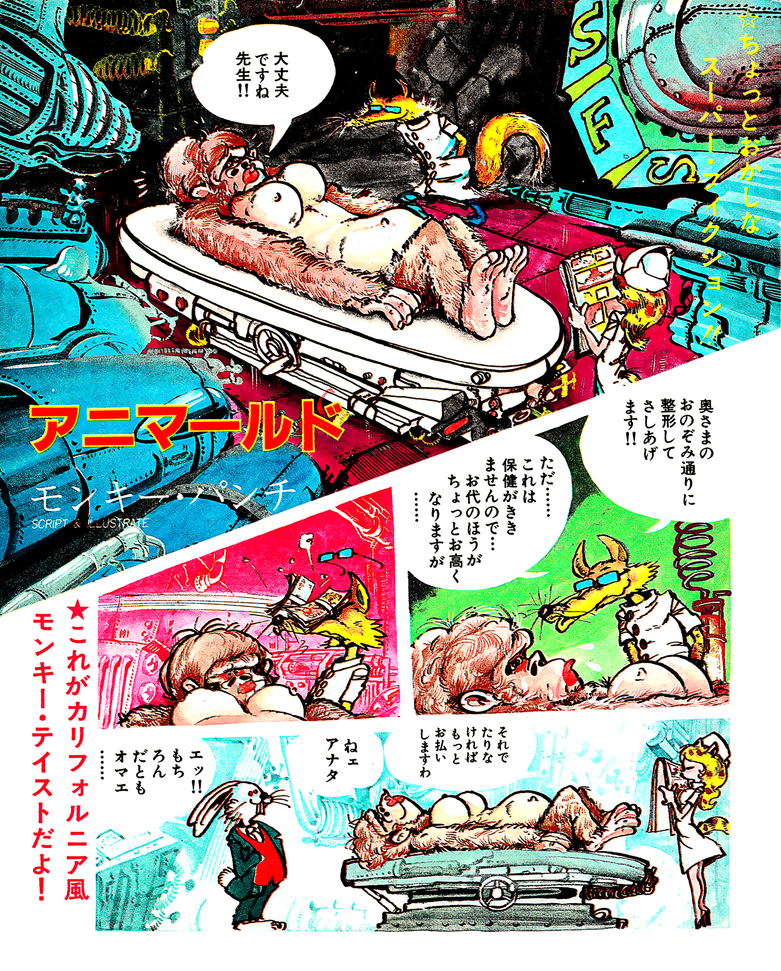 Anima-rudo manga cover
