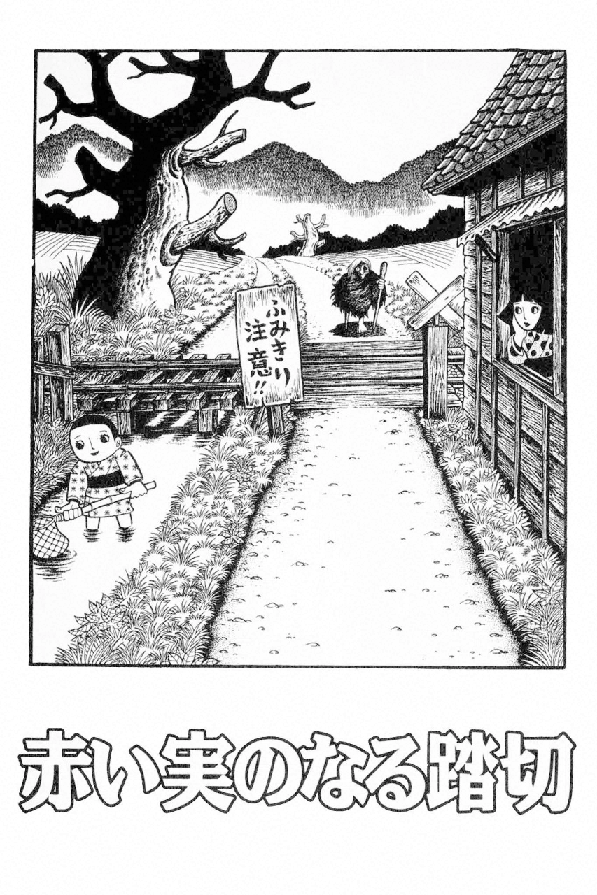 Red Fruit at the Railway Crossing manga cover