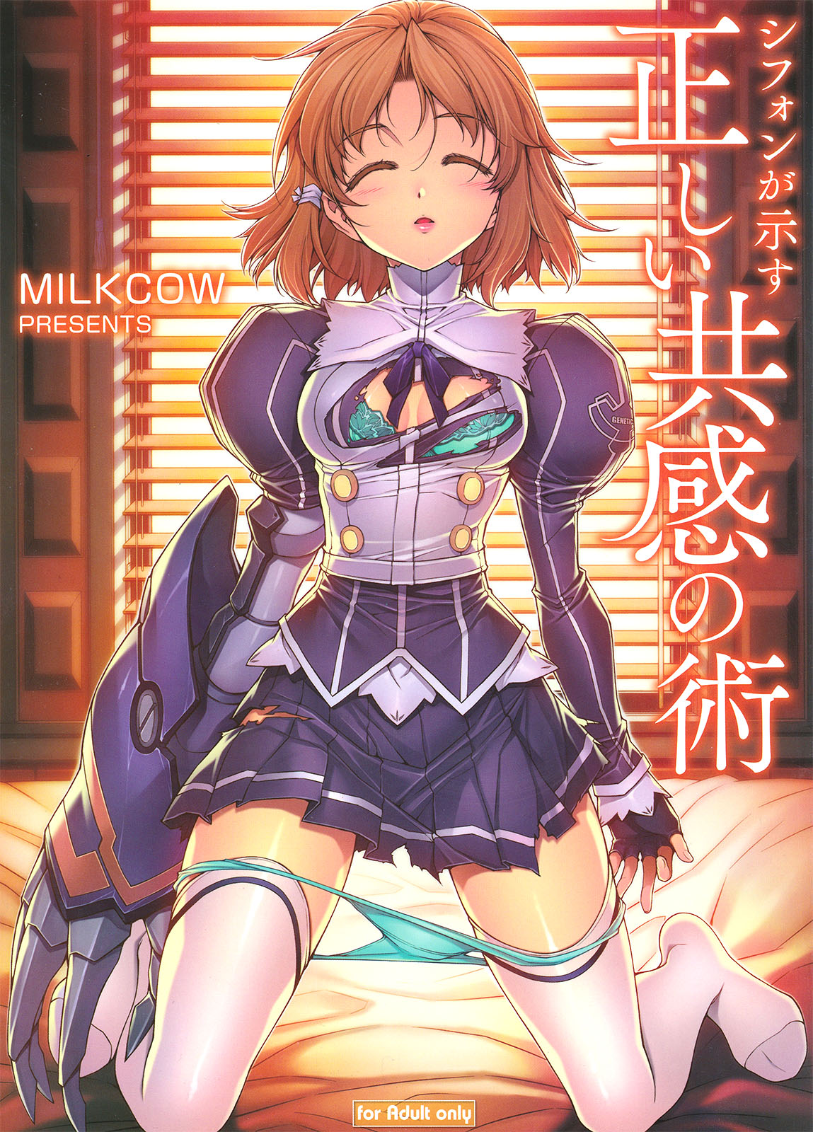Freezing - Chiffon ga Shimesu Tadashii Kyoukan no Jutsu  (Doujinshi) manga cover