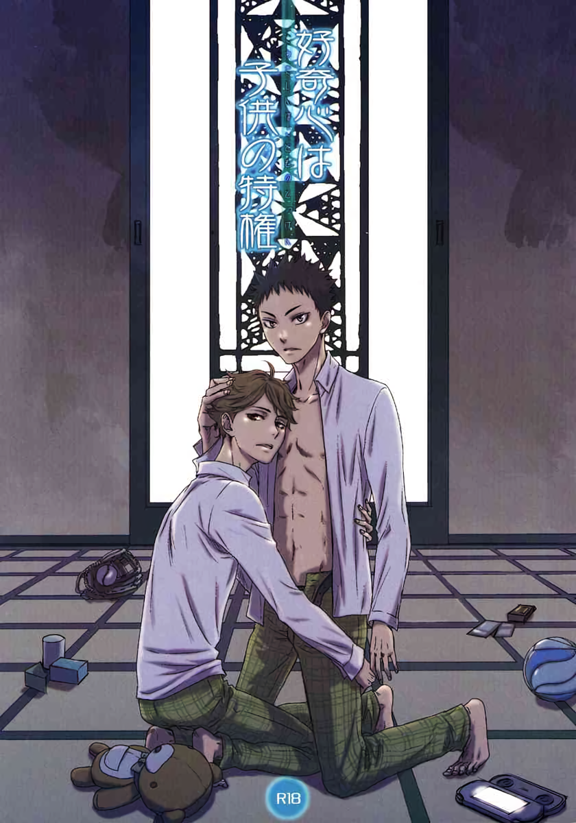 Haikyu!! - Koukishin wa Kodomo no Tokken (Doujinshi) manga cover