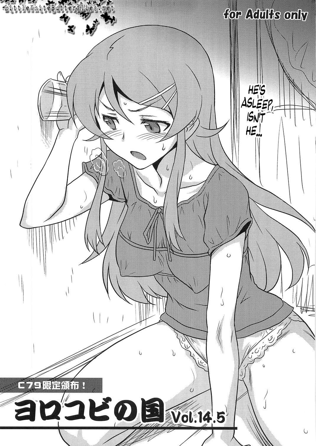 Ore no Imouto ga Konna ni Kawaii Wake ga Nai - Yorokobi no Kuni 14.5 (Doujinshi) manga cover