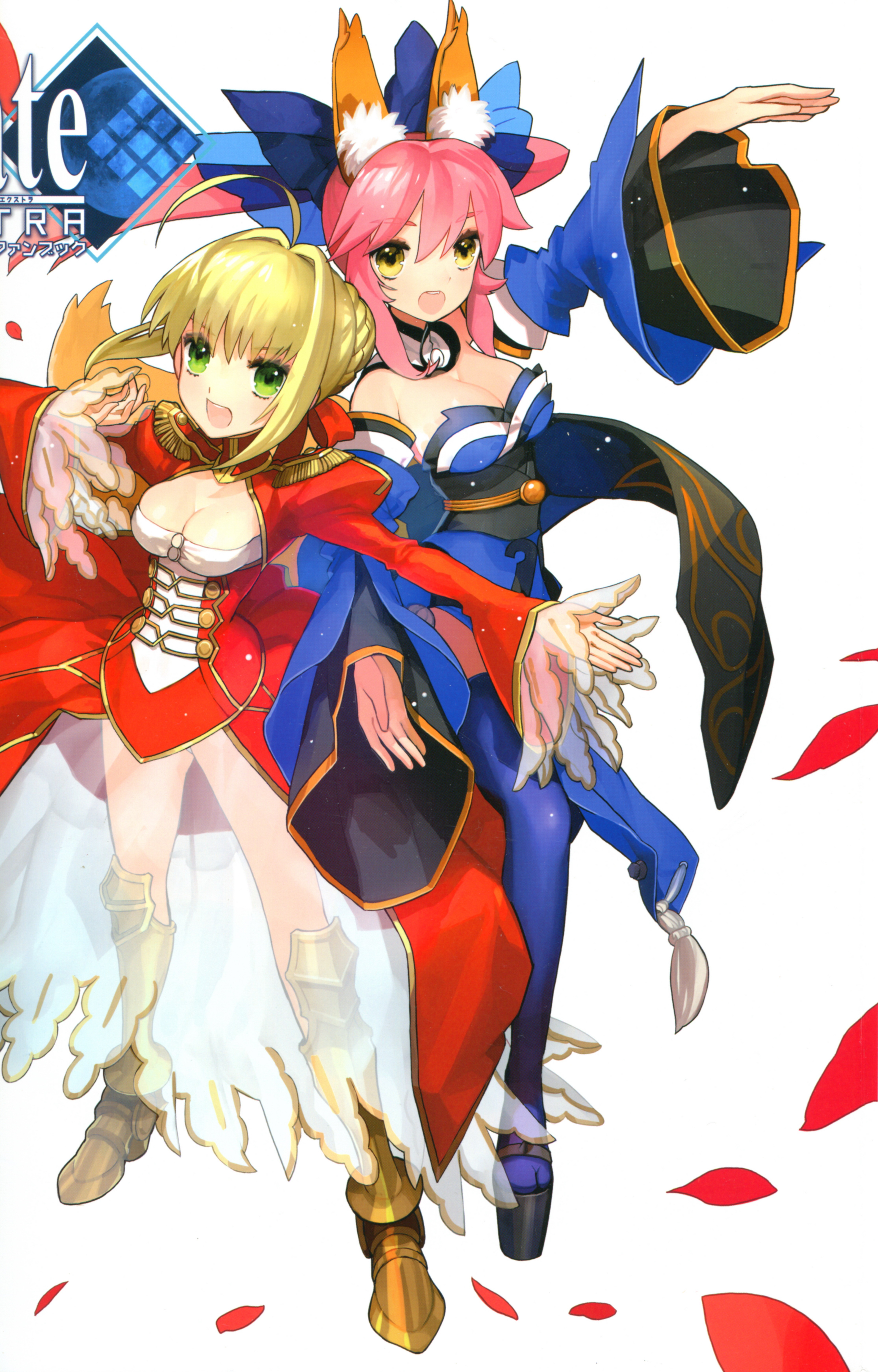 Fate/Extra Visual Fanbook manga cover