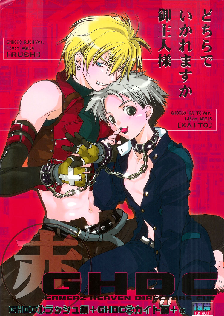 Gamerz Heaven! - Gamerz Heaven! Directors Cut (Doujinshi) manga cover