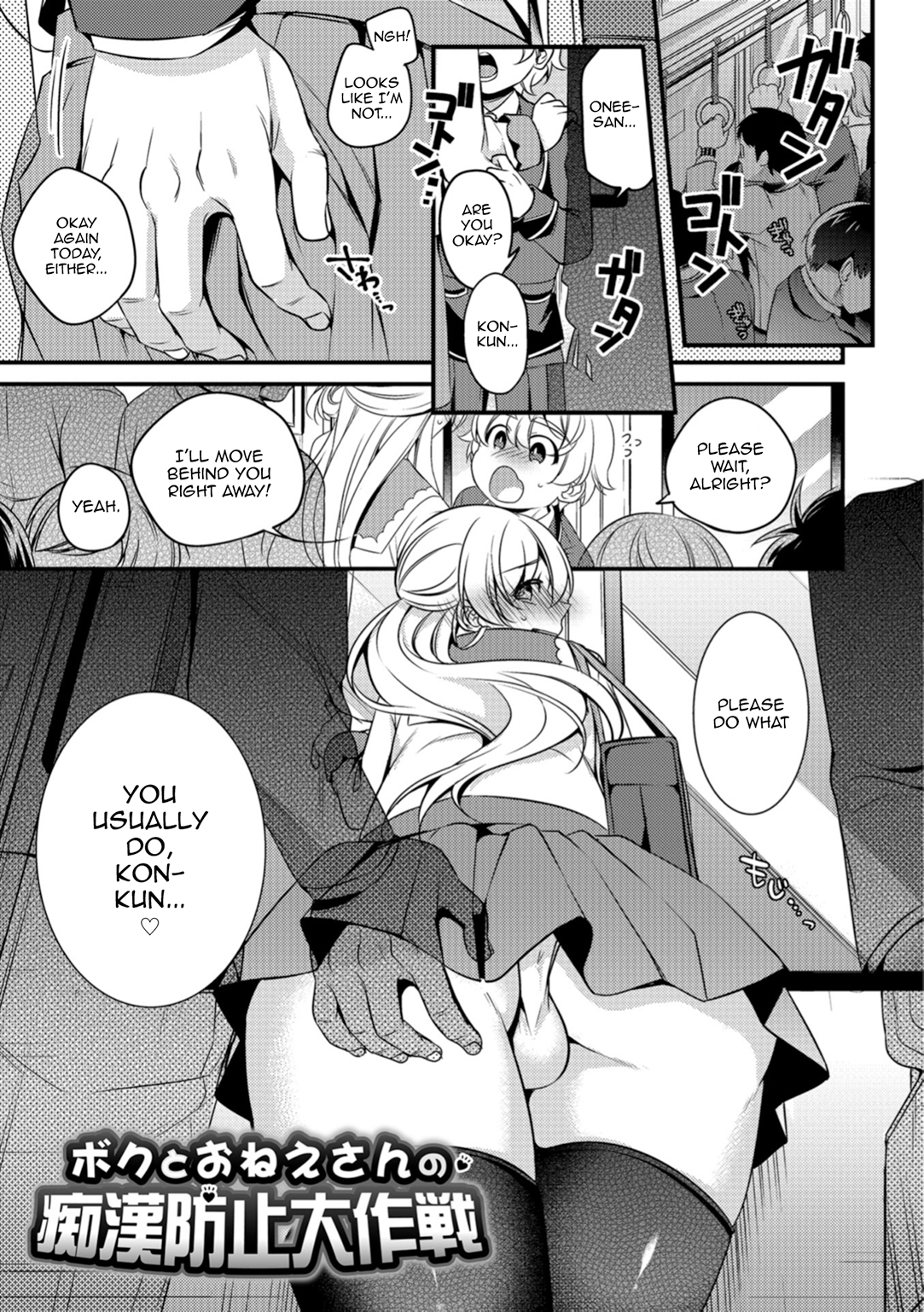 Boku to Onee-san no Chikan Boushi Daisakusen manga cover