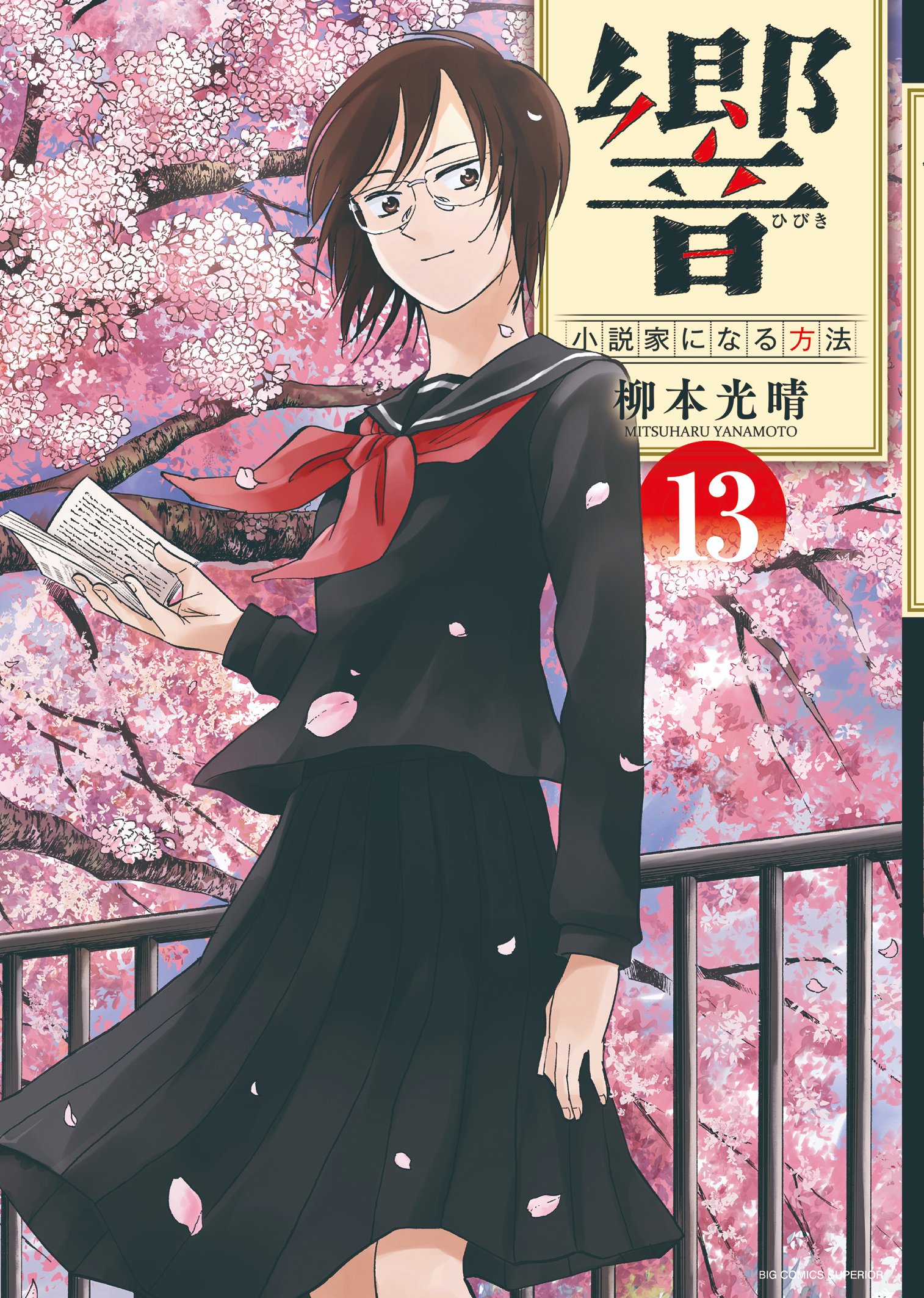 Hibiki - Shousetsuka ni Naru Houhou manga cover