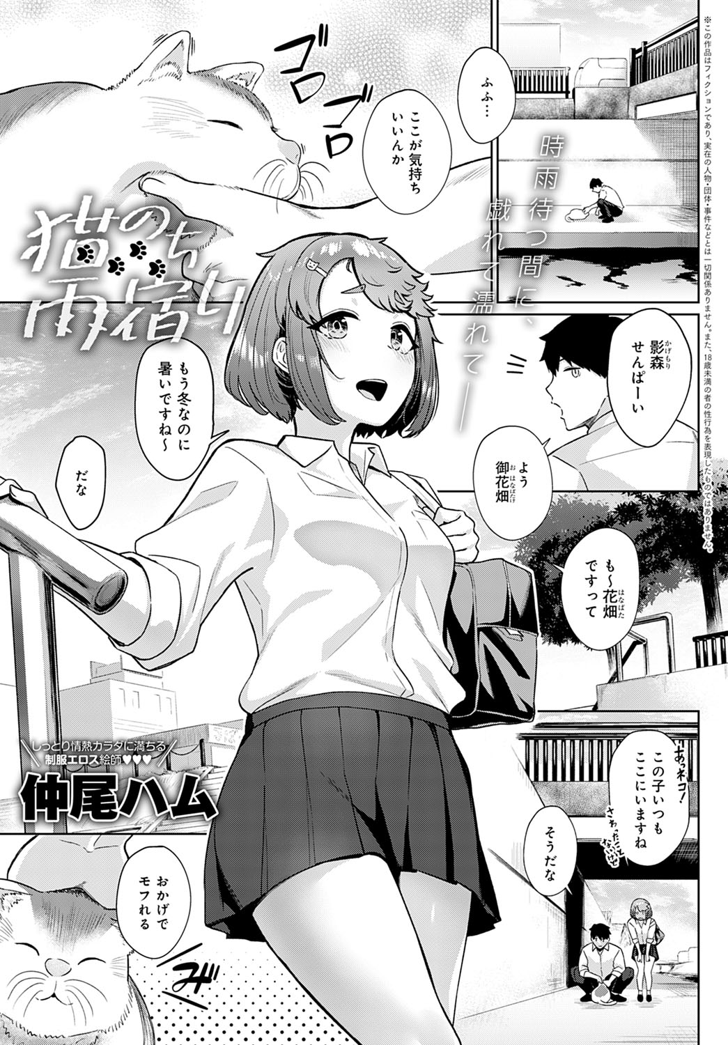 Neko Nochi Amayadori manga cover
