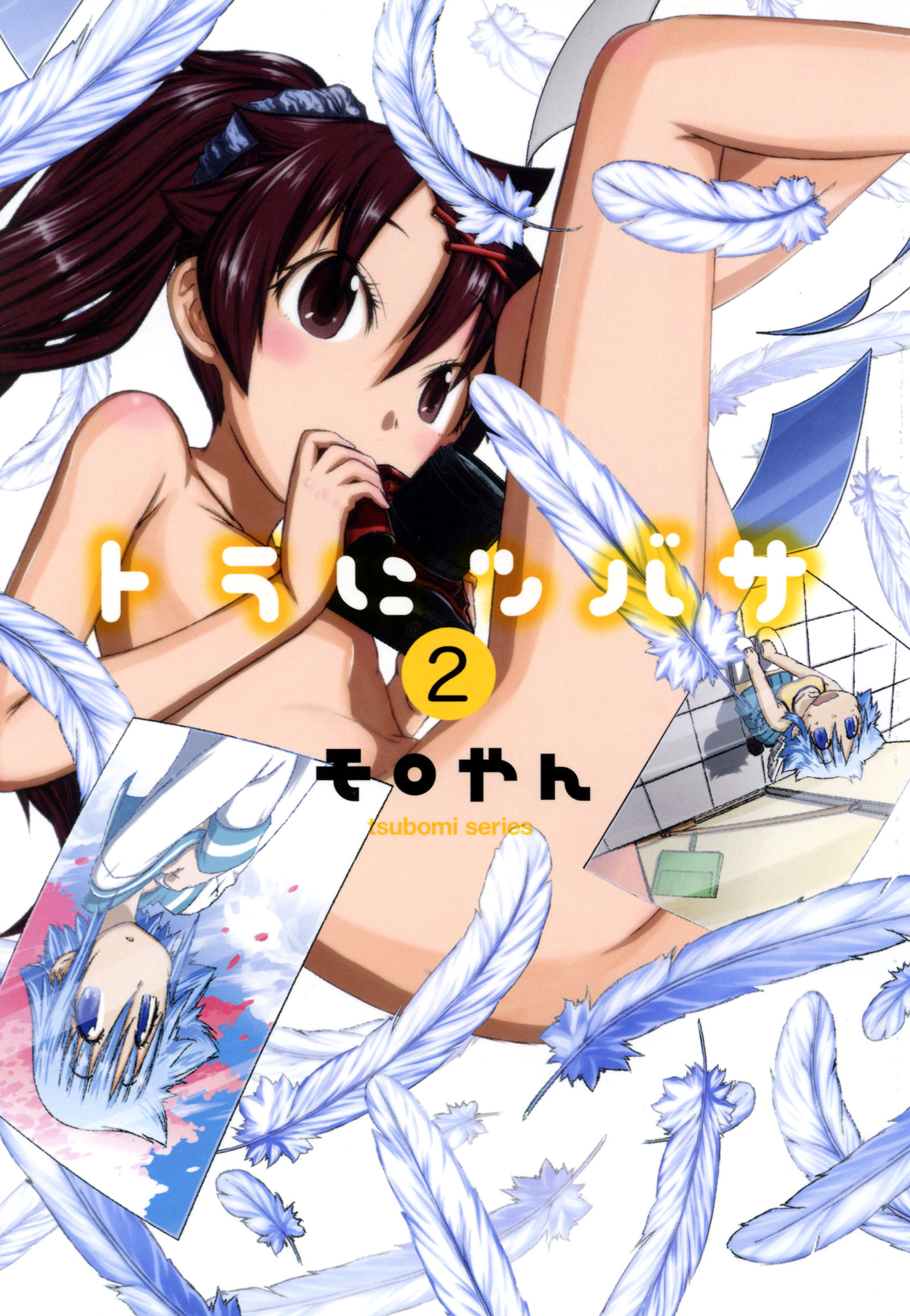 Tora ni Tsubasa manga cover