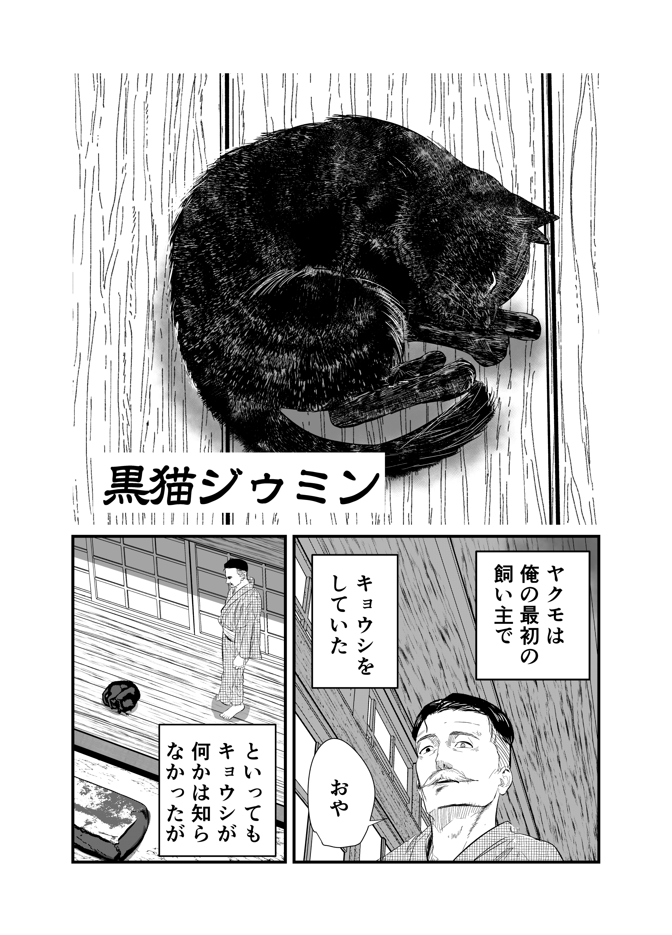 Black Cat Jiumin manga cover