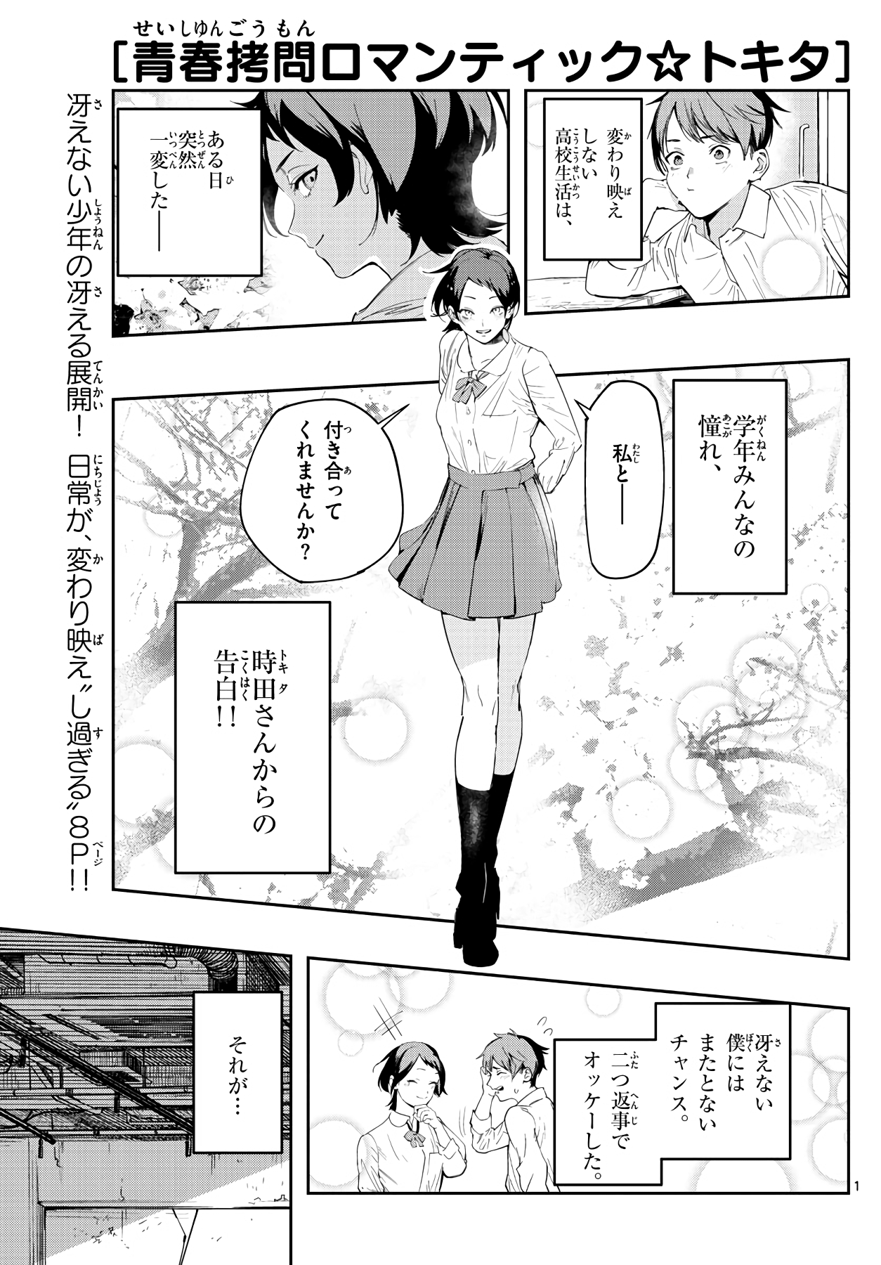 Youth Torture Romantic ☆ Tokita manga cover