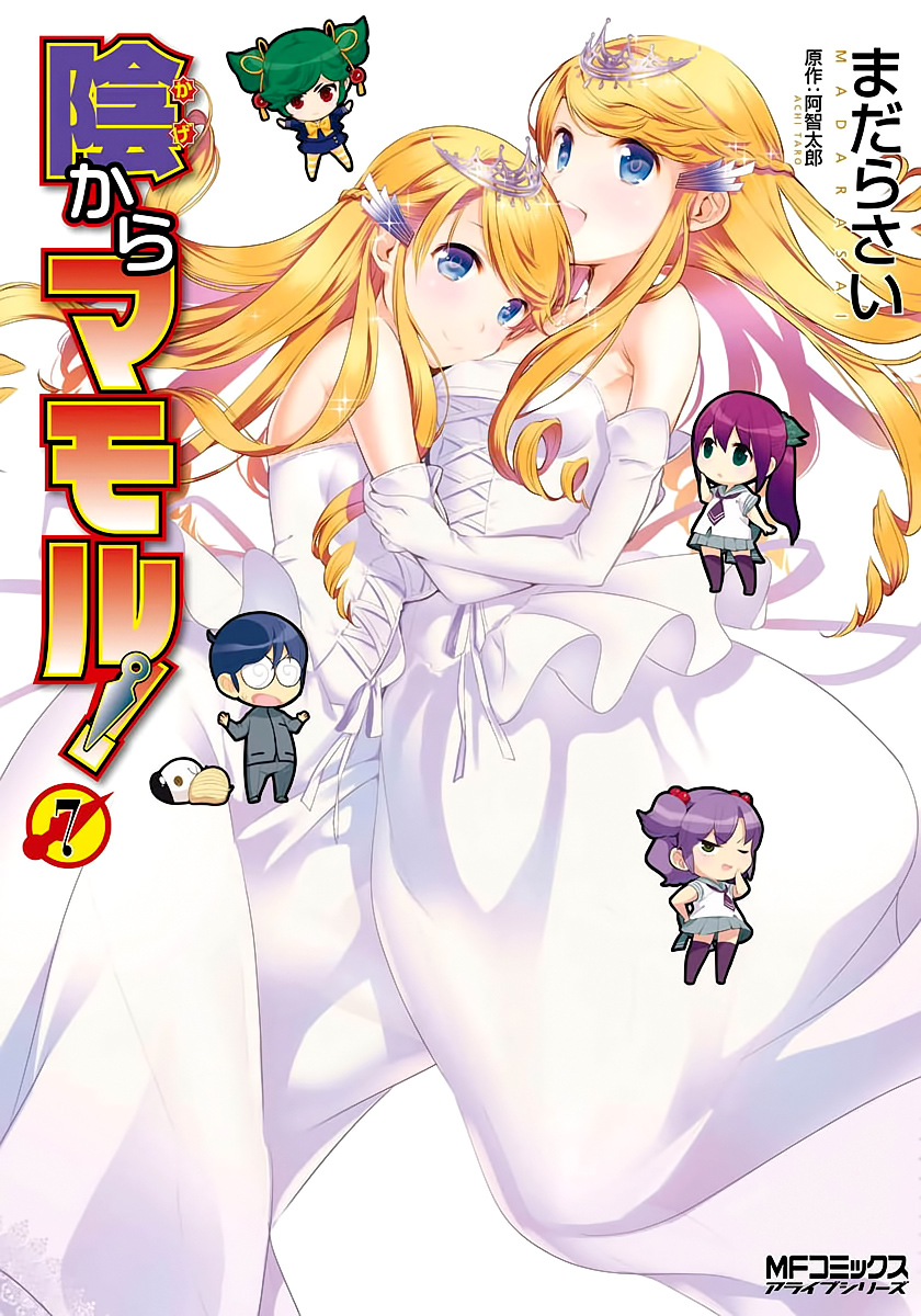 Kage Kara Mamoru! manga cover