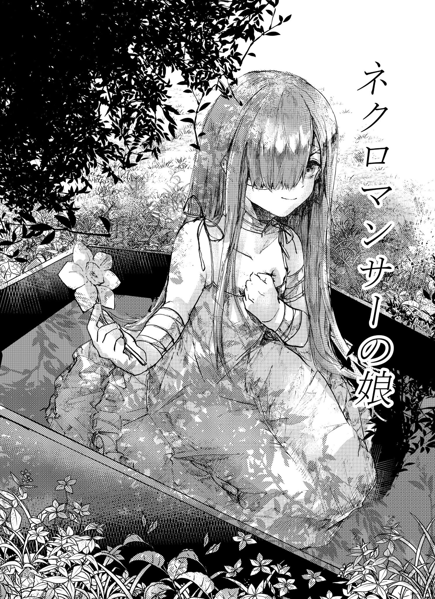 The Necromancers Daughter manga cover