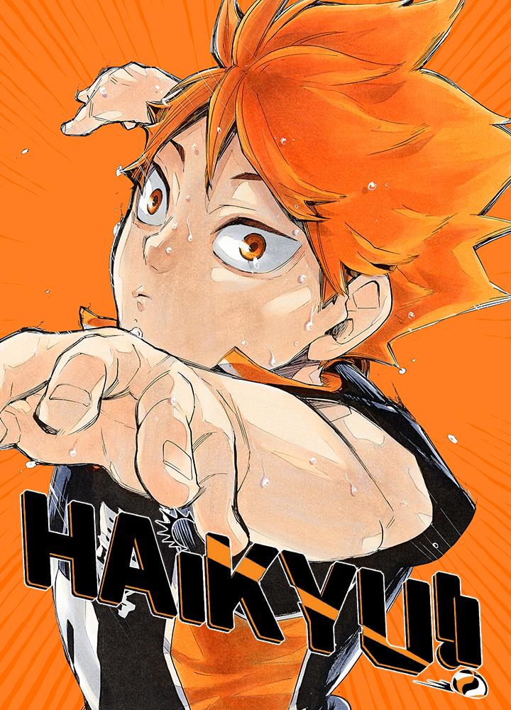 Haikyuu!! (Full Color Long Strip Ver.) manga cover