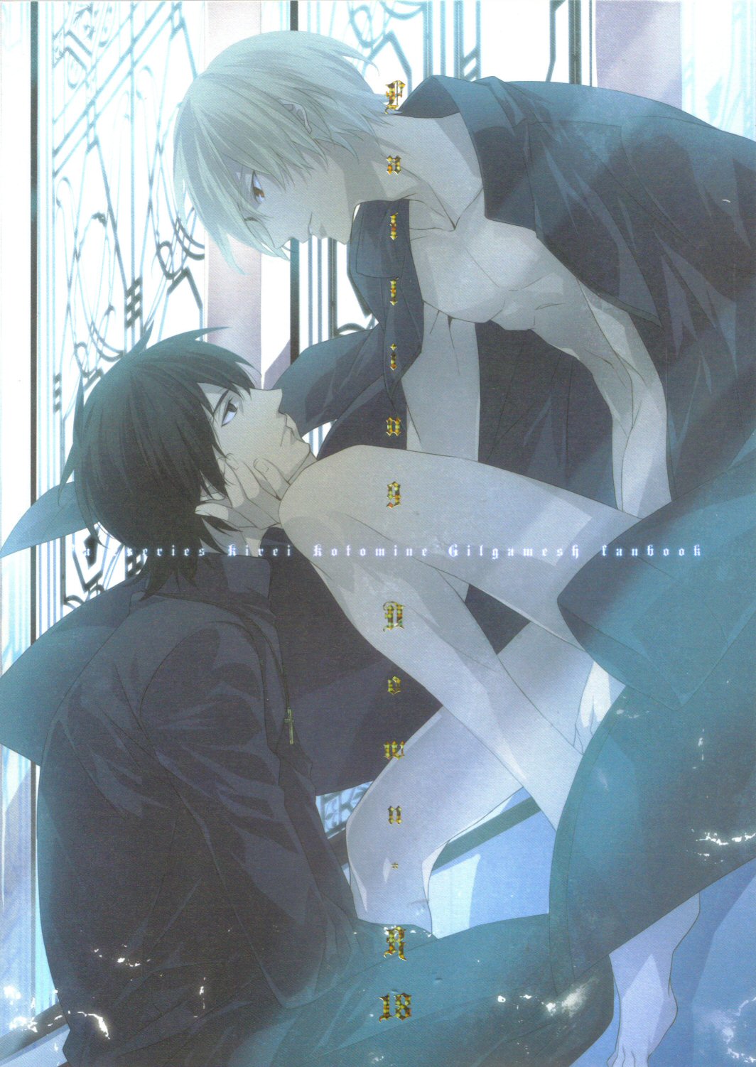 Fate/Zero - Falling Down (Doujinshi) manga cover