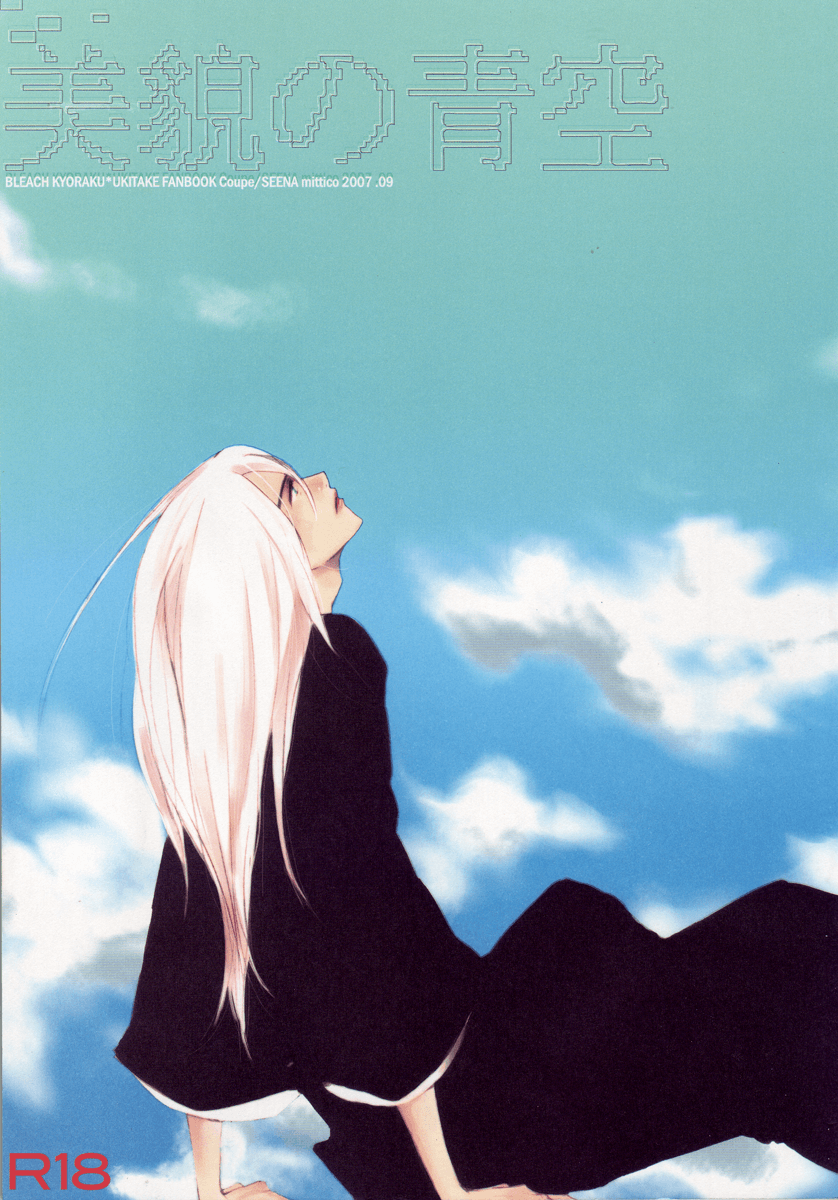 Bleach - Bibou no Aozora (Doujinshi) manga cover
