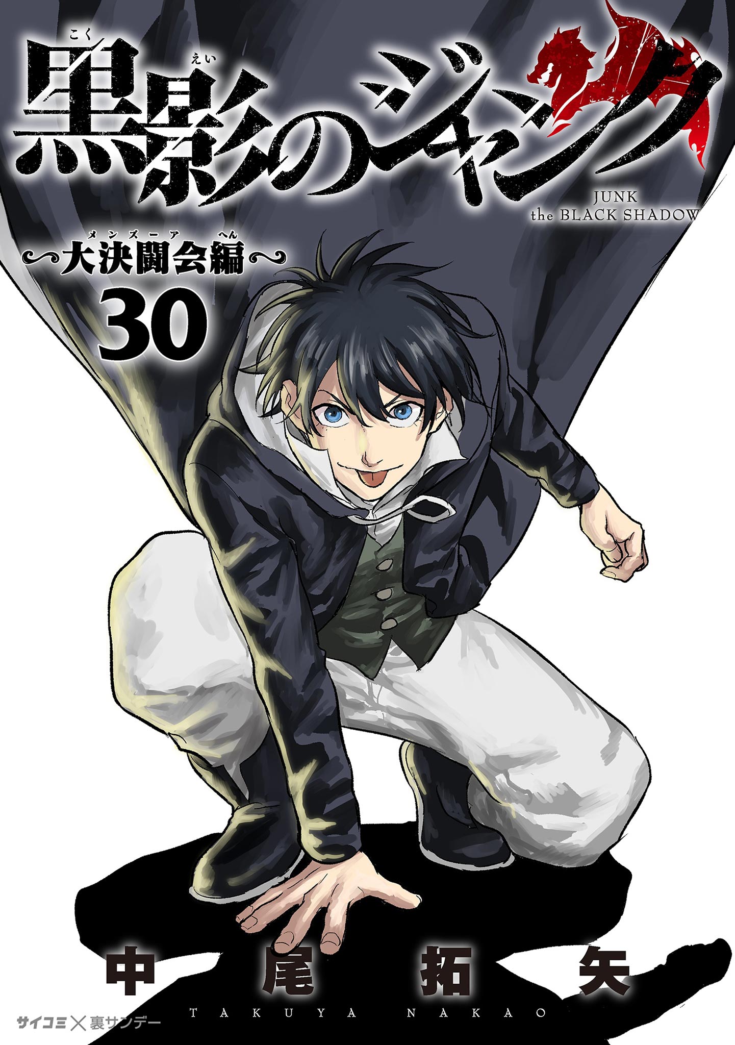 Junk the Black Shadow manga cover