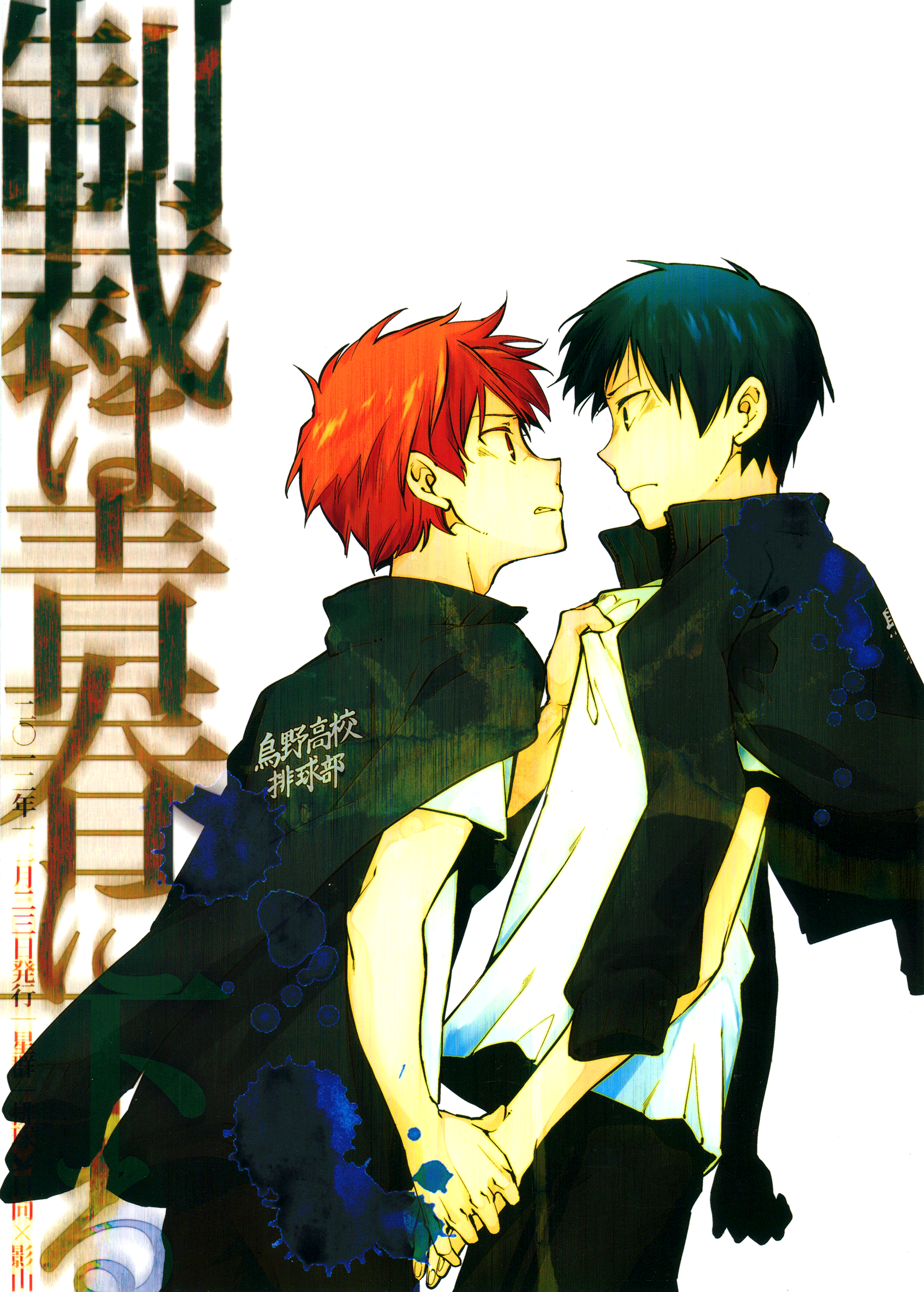 Haikyu!! - Seisai wa Seishun Kudaru (Doujinshi) manga cover