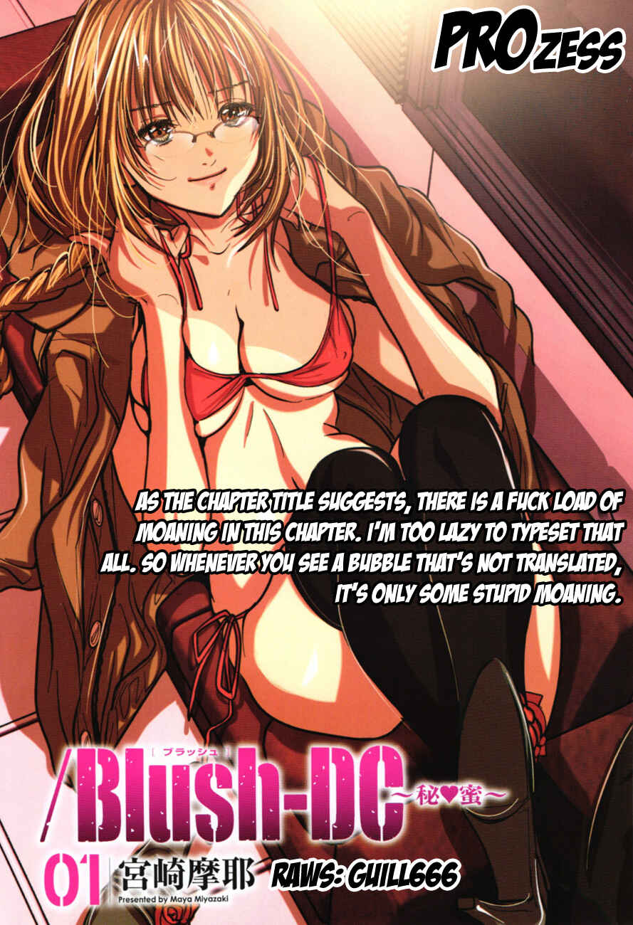Page 24 Chapter 13 /Blush-DC ~Hi♥mitsu~